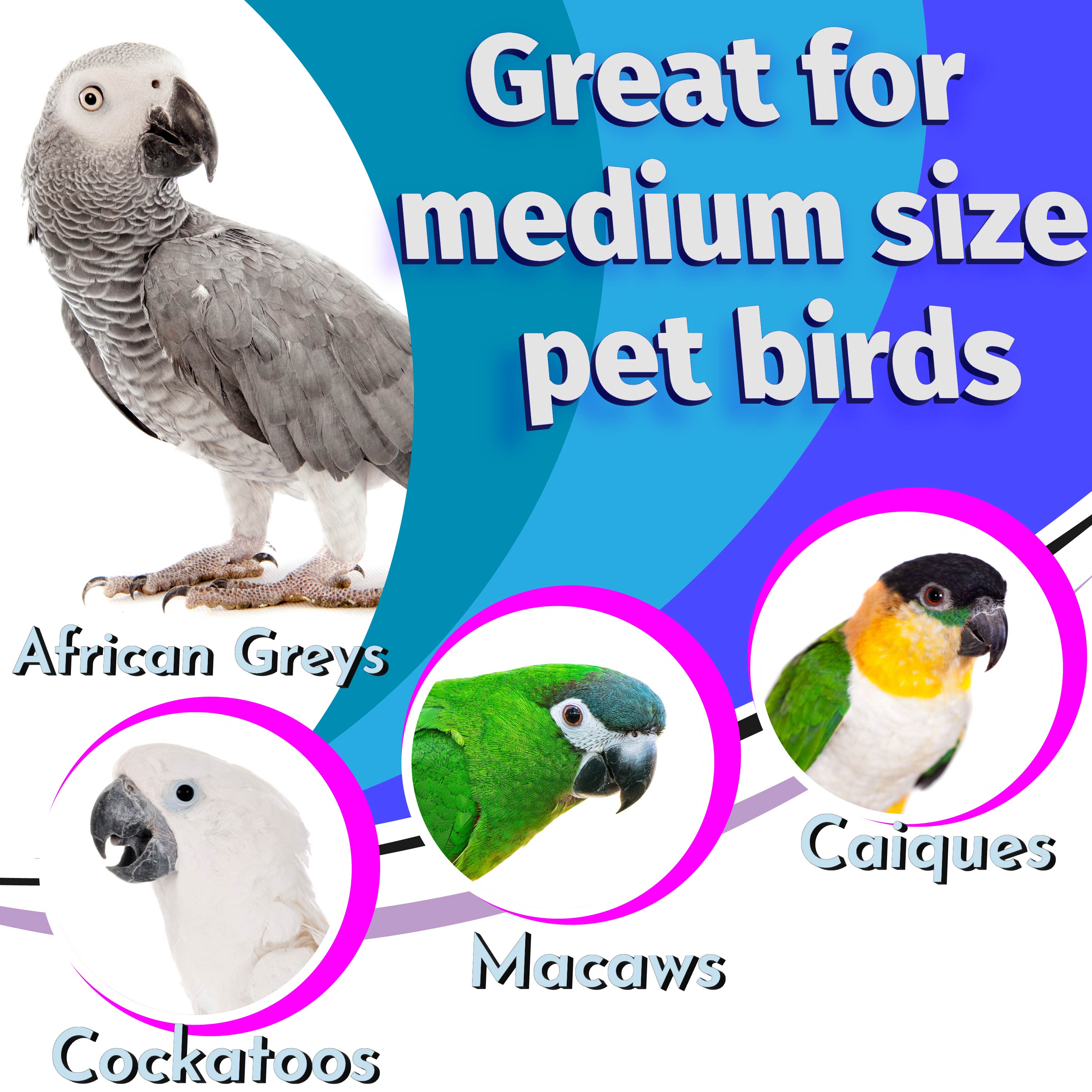 1002 Pk8 Jumbo Bird Bolts M&M Union Bird Juguetes