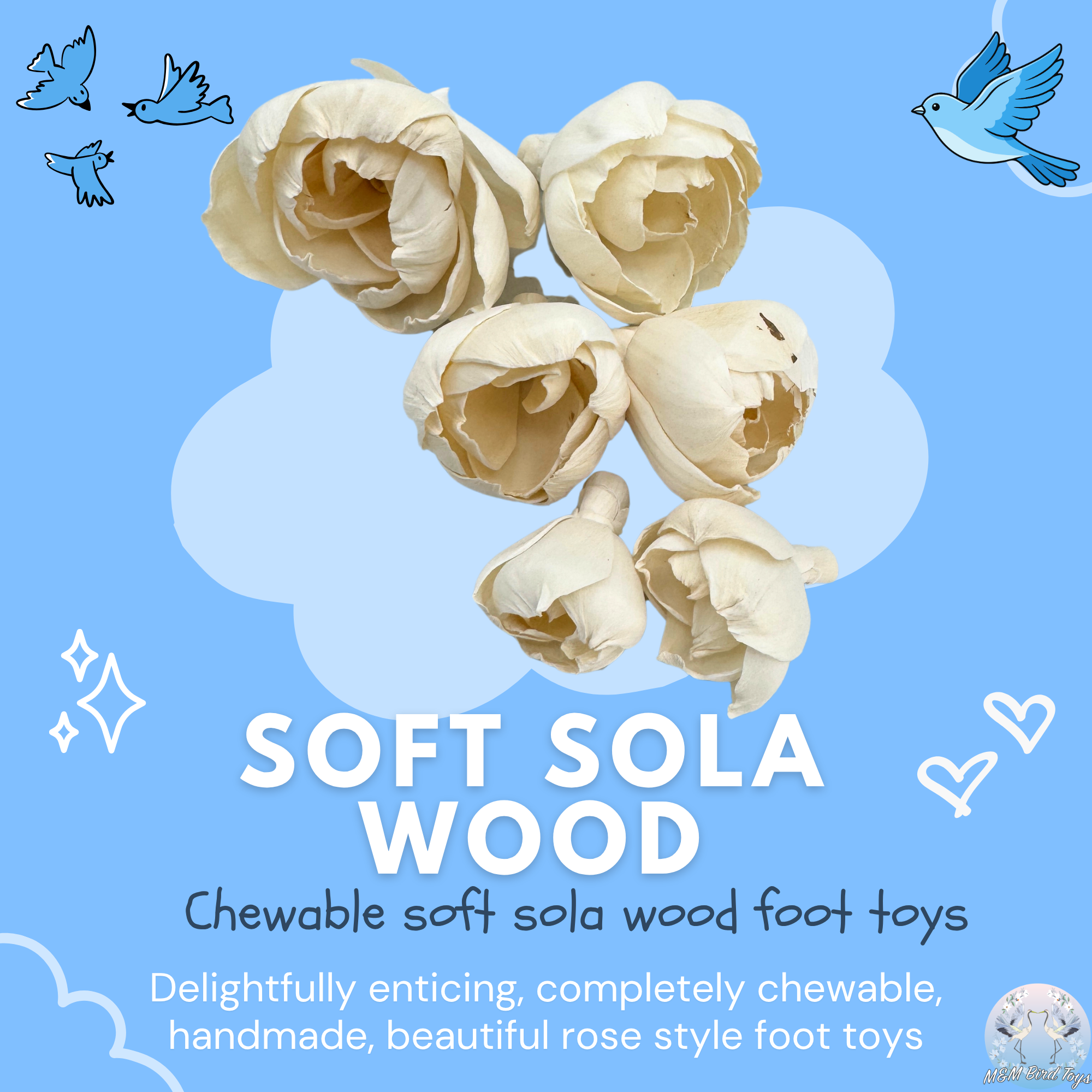 5191 Pk6 Sola Peony Flower Assortment