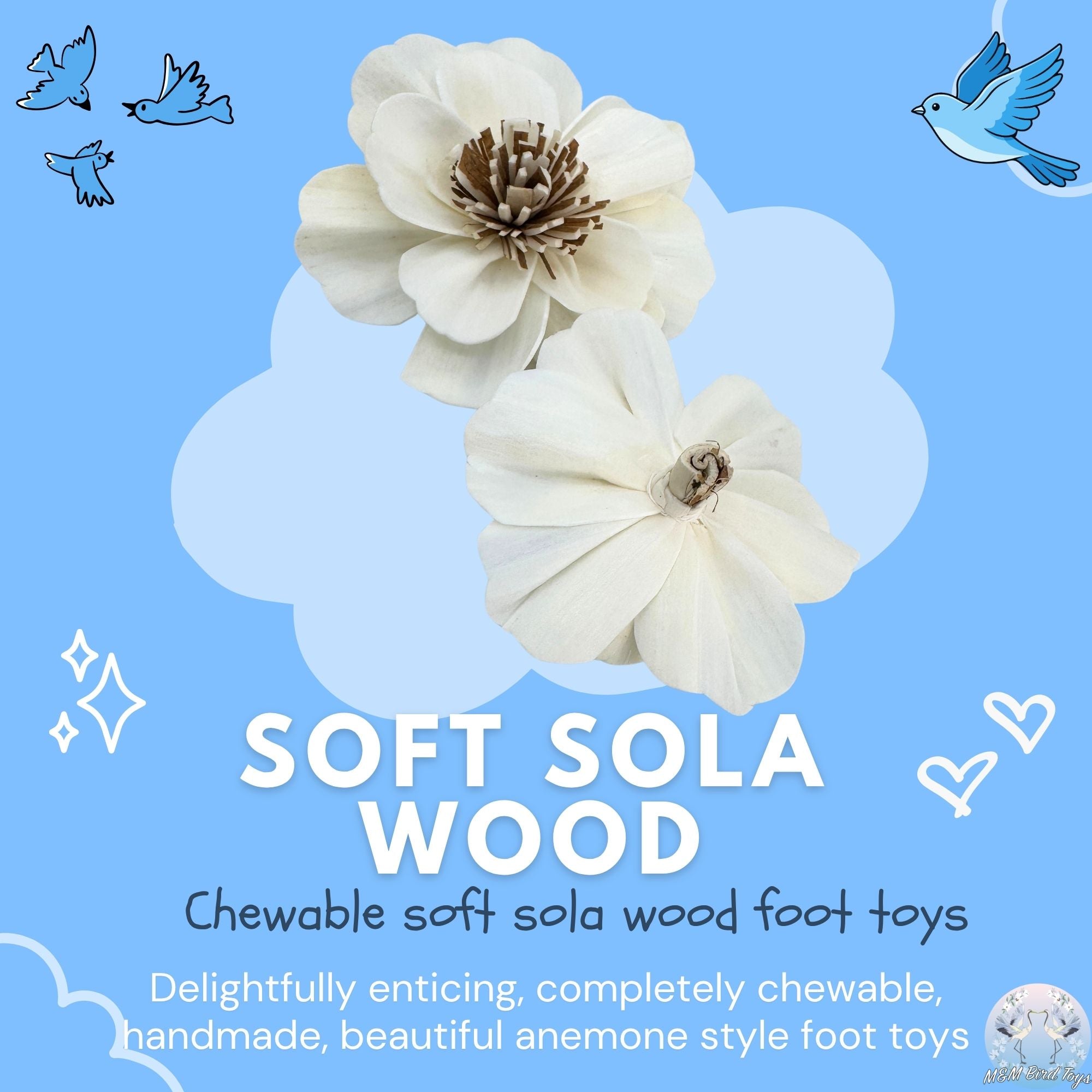 5192 Pk6 Sola Anemone Flower Assortment