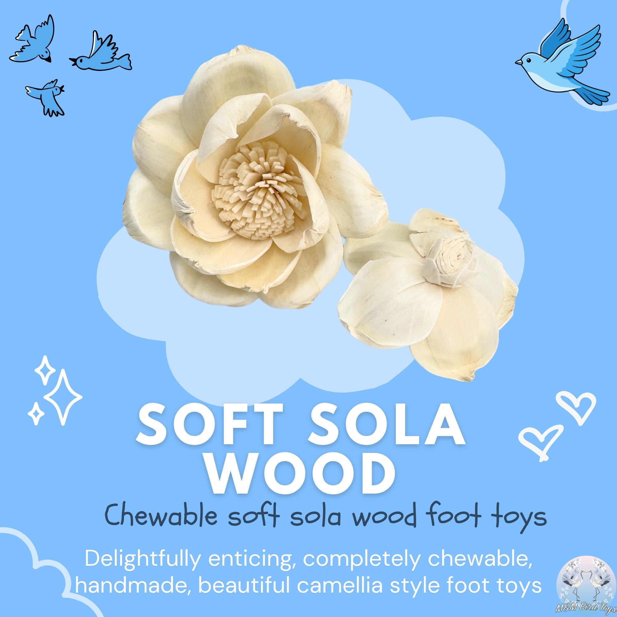 5193 Pk6 Sola Camellias Flower Assortment