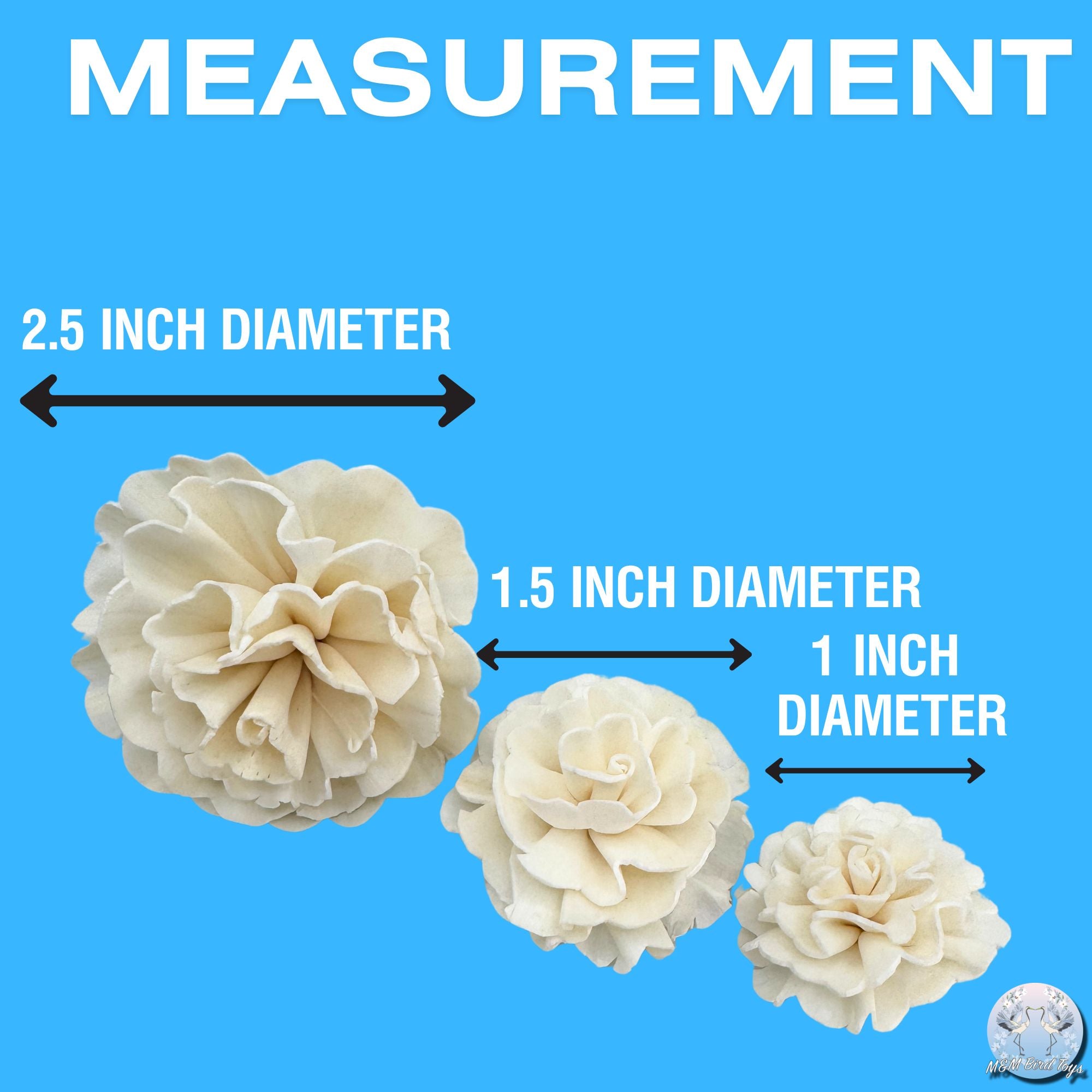5194 Pk6 Sola Carnation Flower Assortment