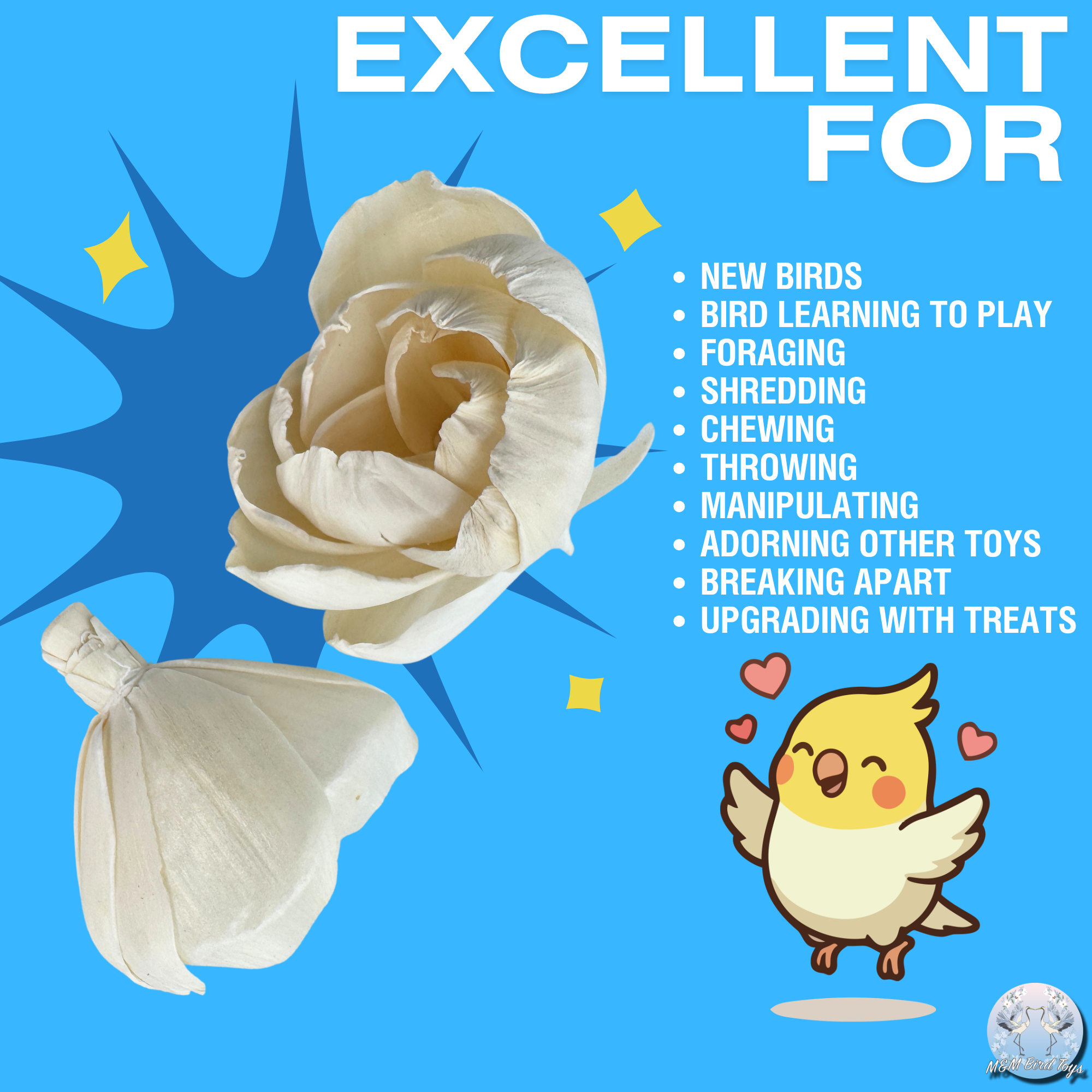 5191 Pk6 Sola Peony Flower Assortment