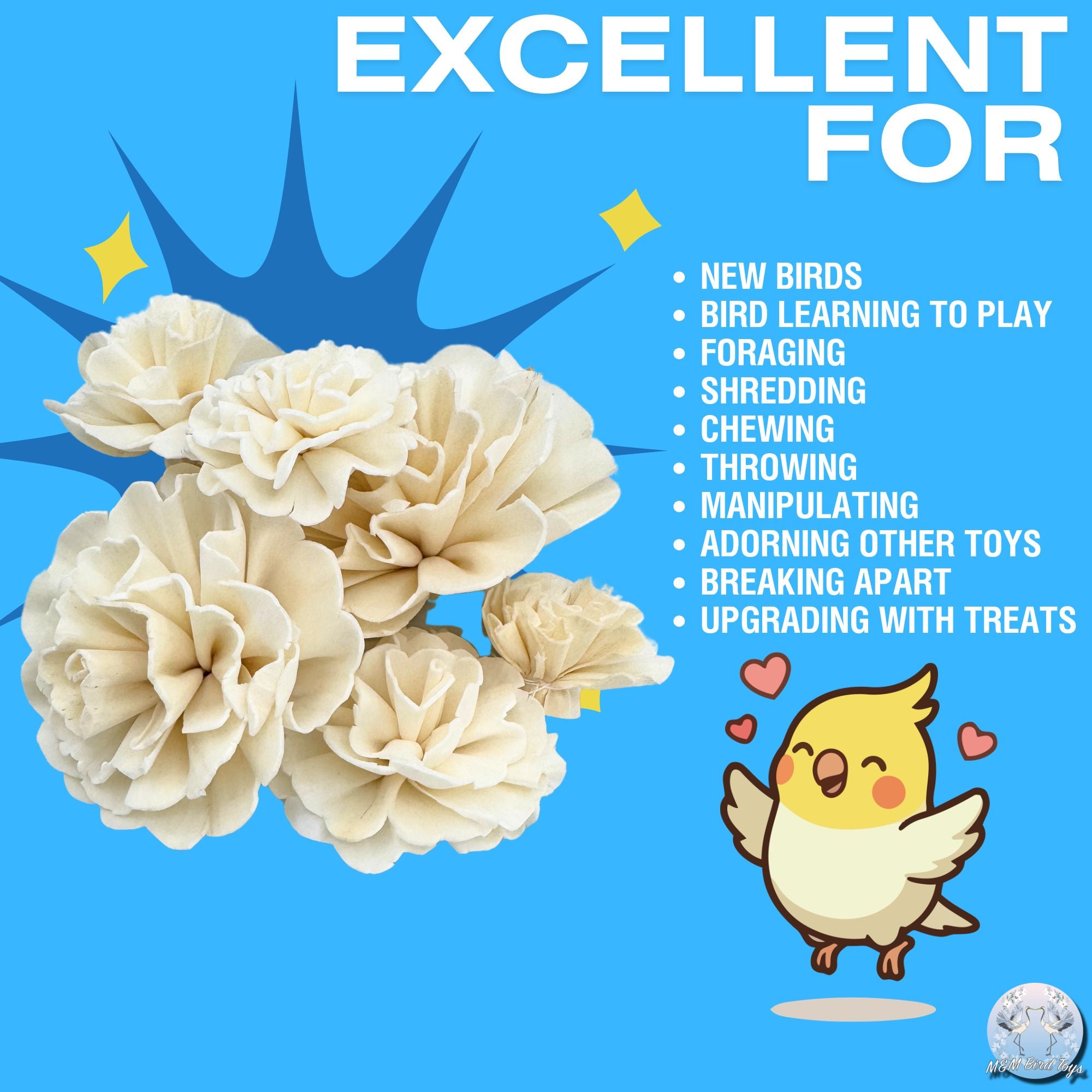 5194 Pk6 Sola Carnation Flower Assortment