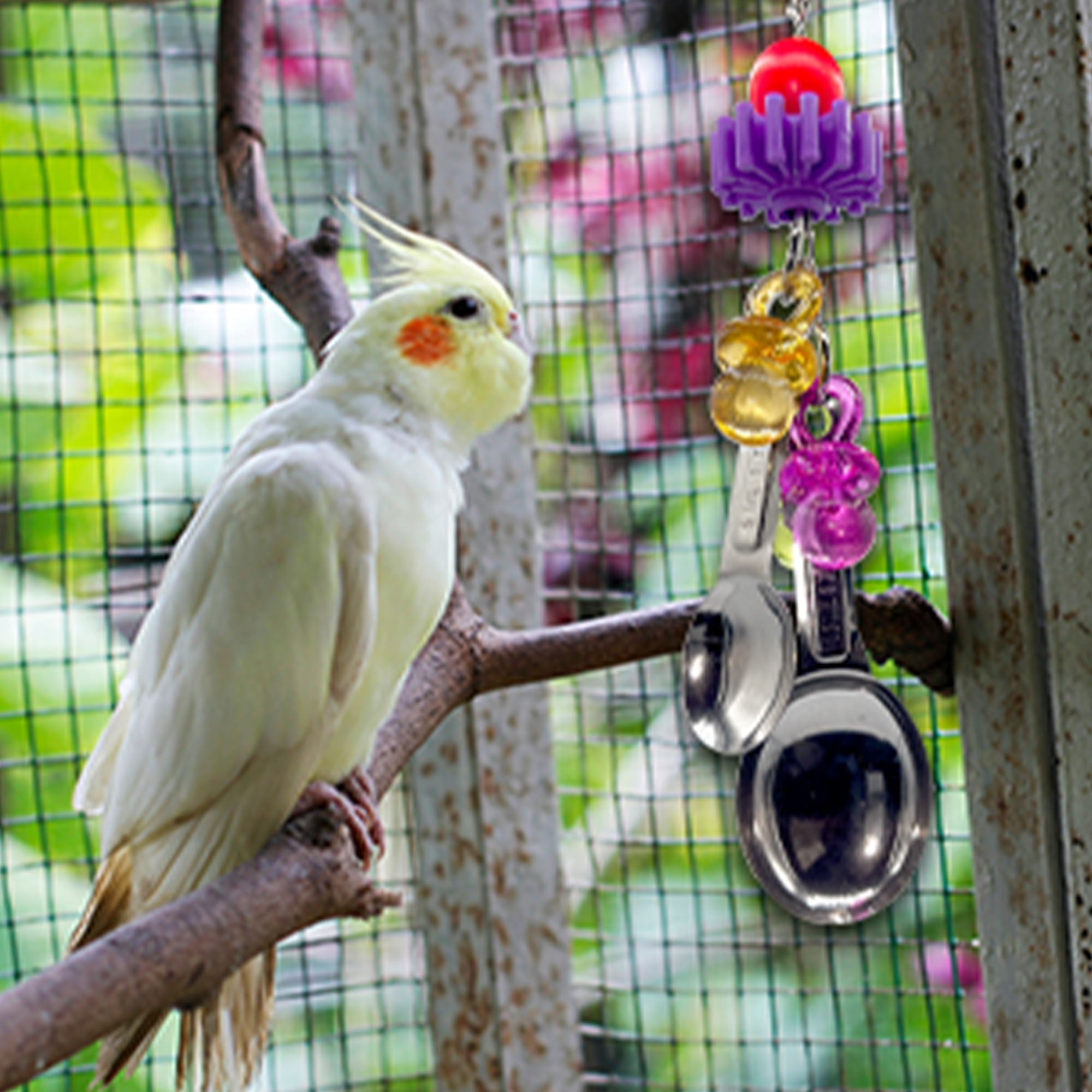 1020 Paci Spoon Beater