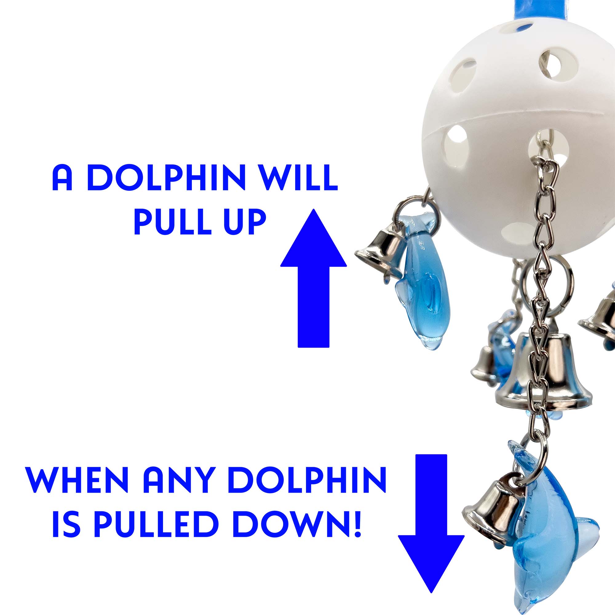 1024 Dolphin Diving Puller M&M Union Bird Toys