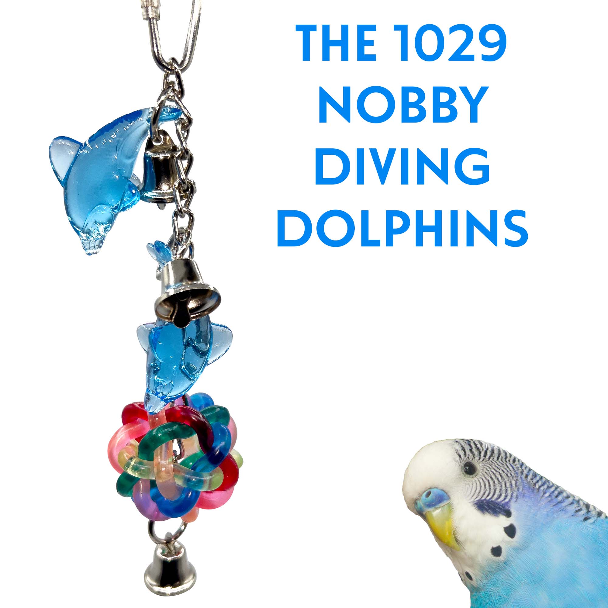 1029 Nobby Diving Dolphins