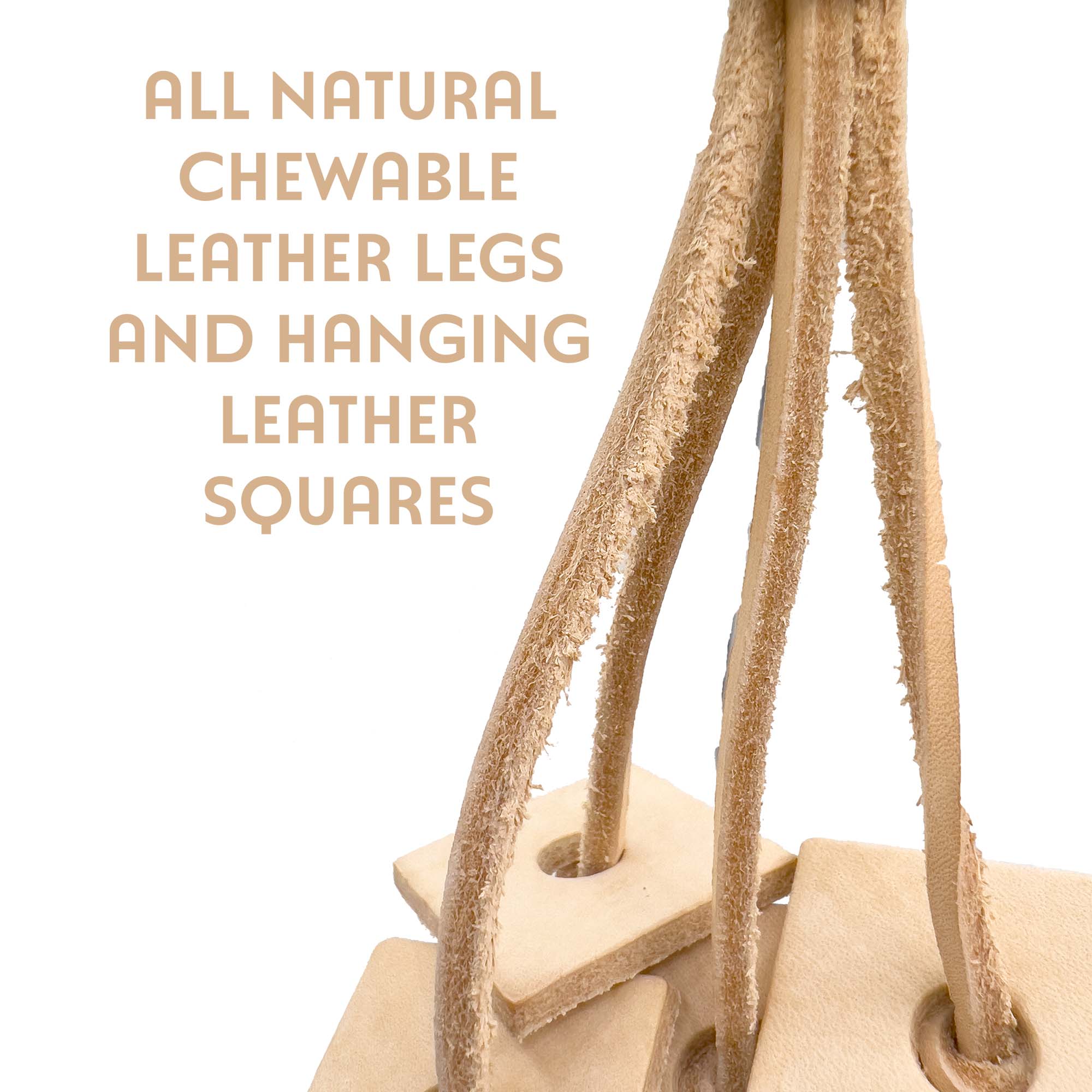 1037 Mini Leather Spider