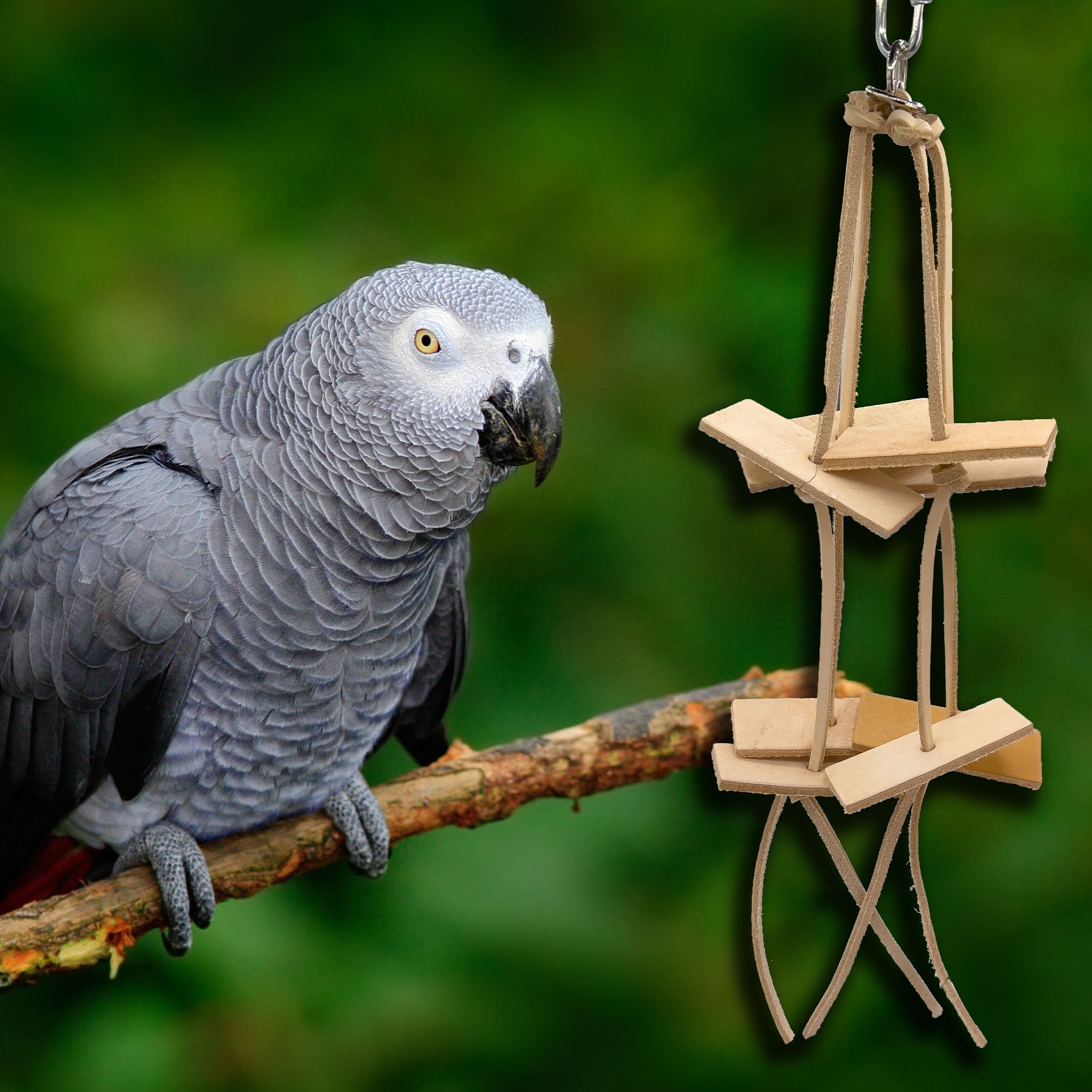 1041 Big Ranch Chewer