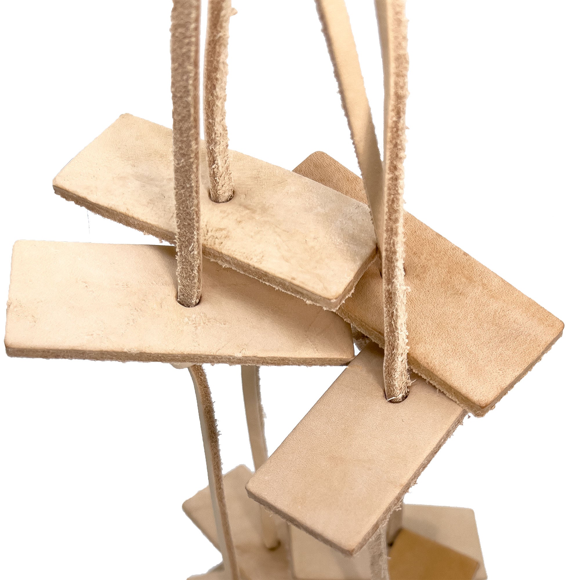 1041 Big Ranch Chewer