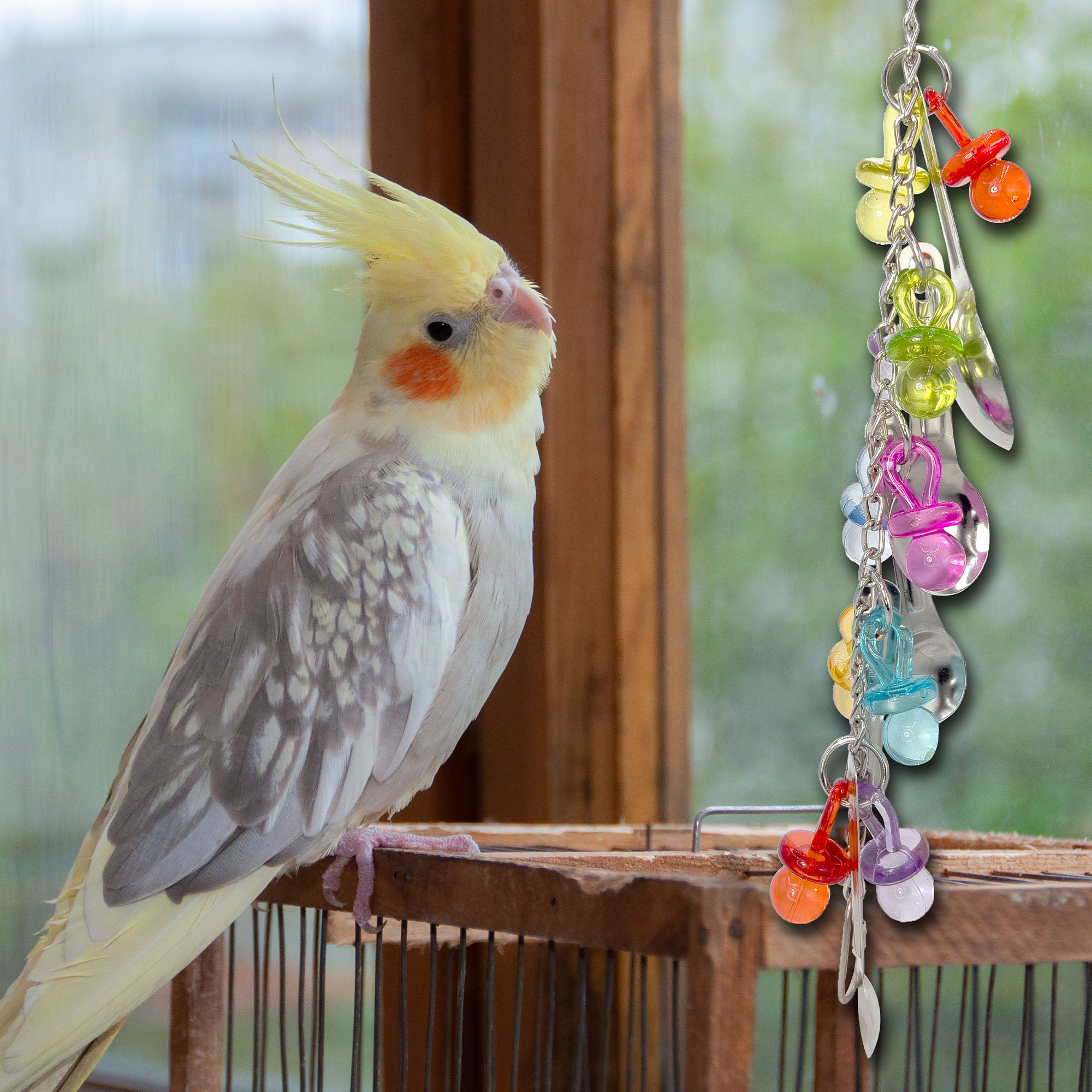 1077 Paci Rattle Ringer