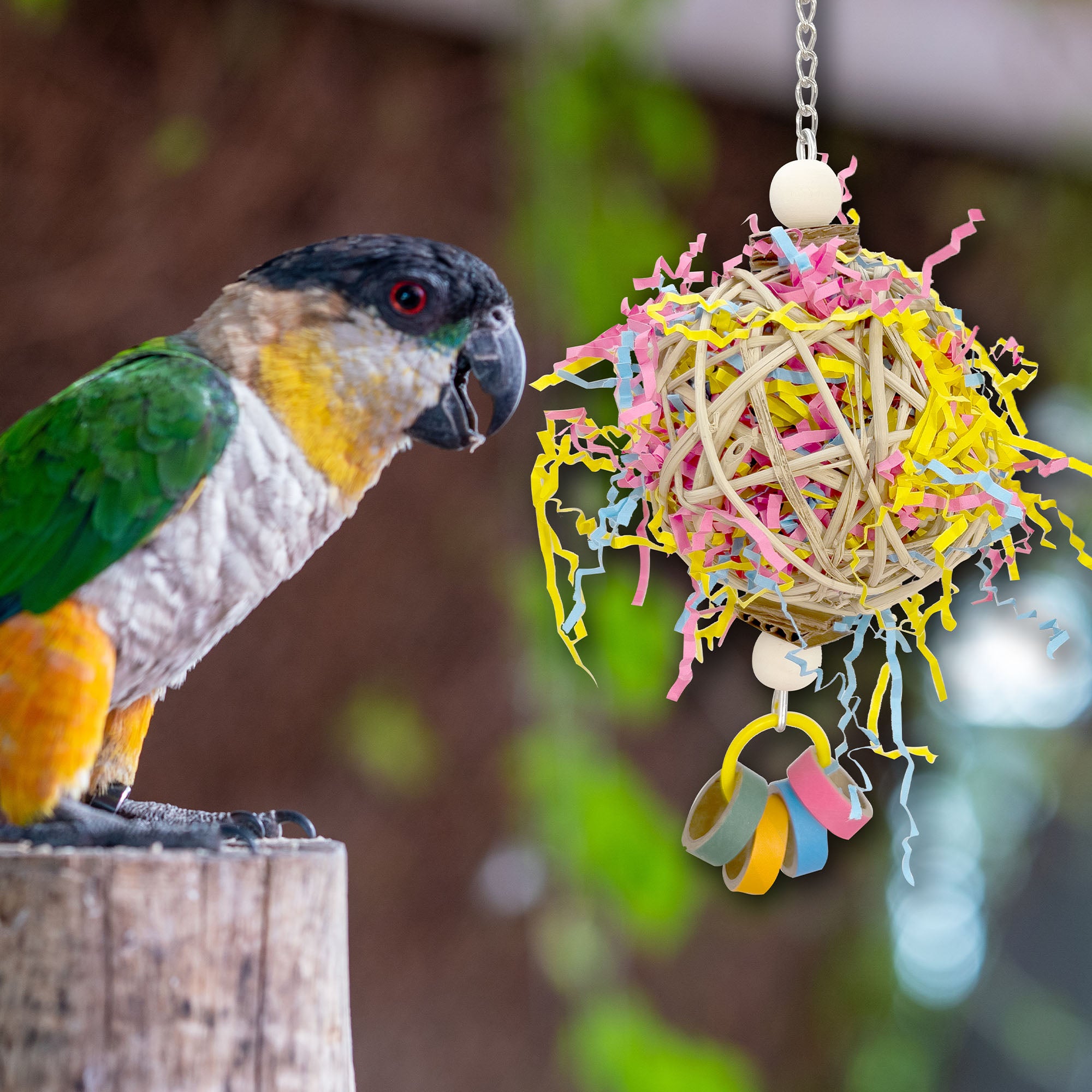 1081 Bagel Biter Shred Ball