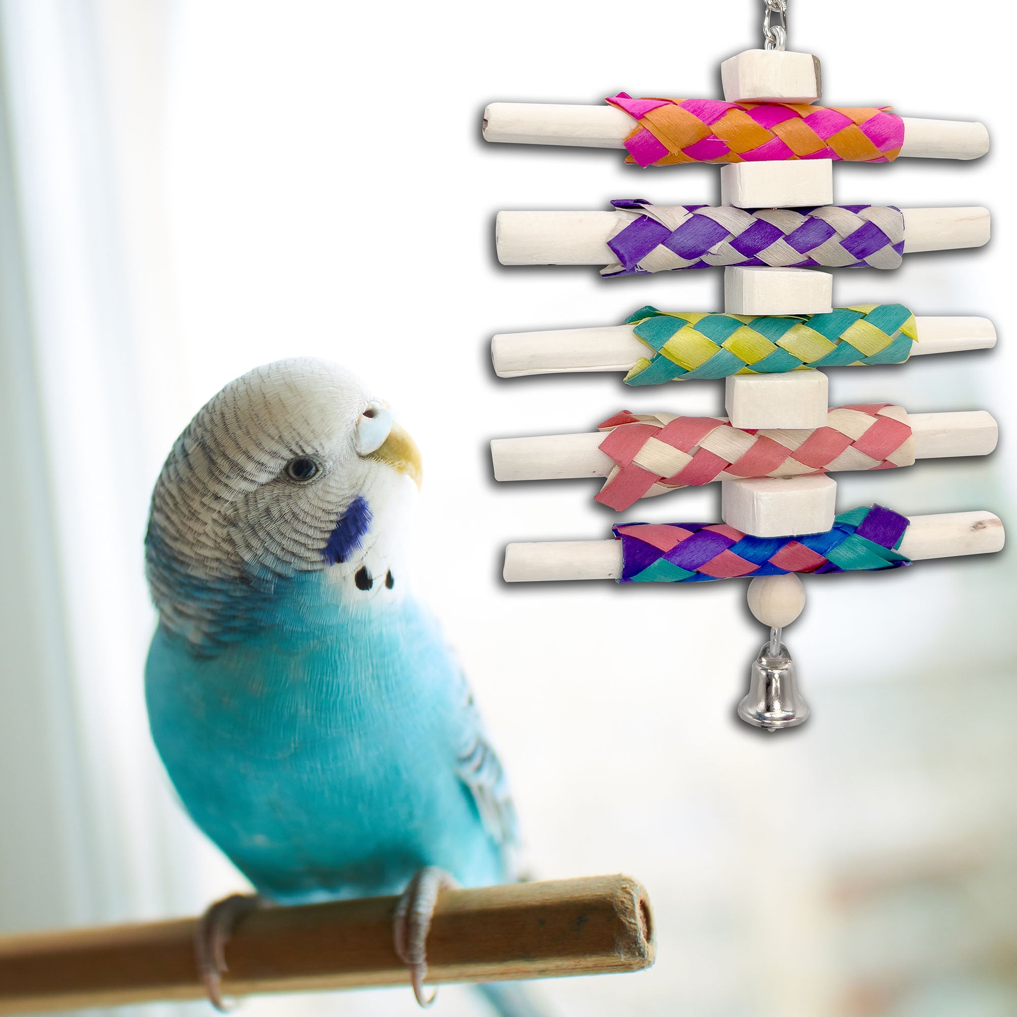 1117 Bamboo Sola Nibbler