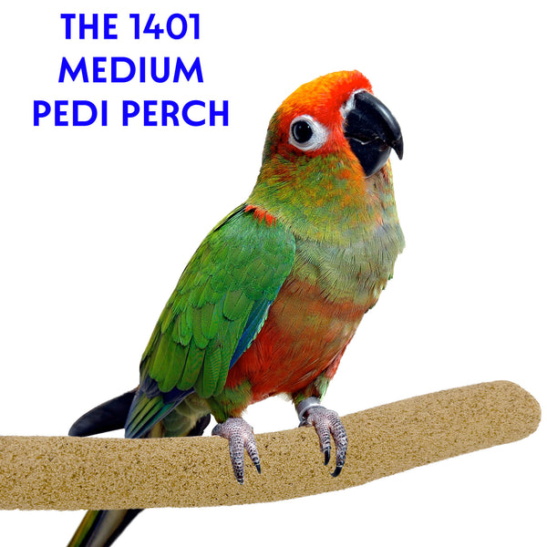 Medium Pedi Perch #1401