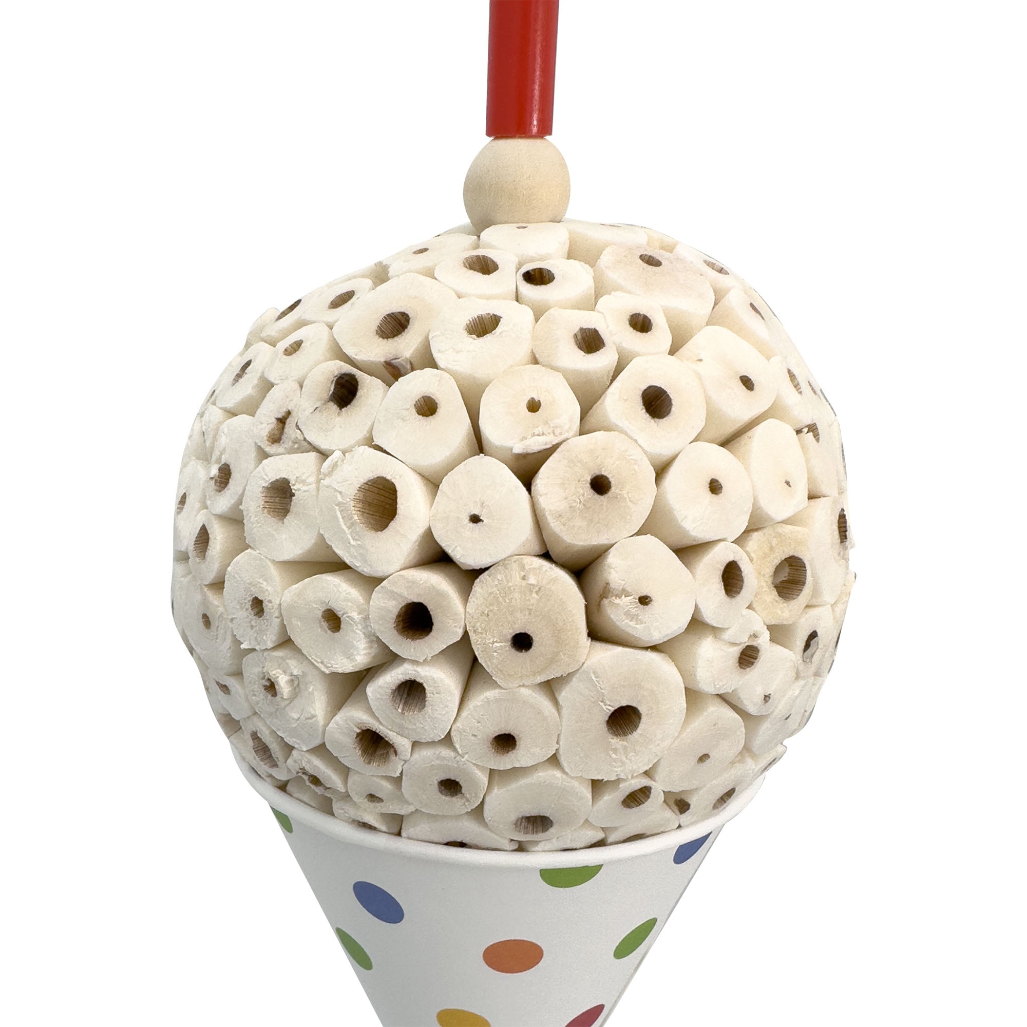 1557 Mega Sola Snowcone