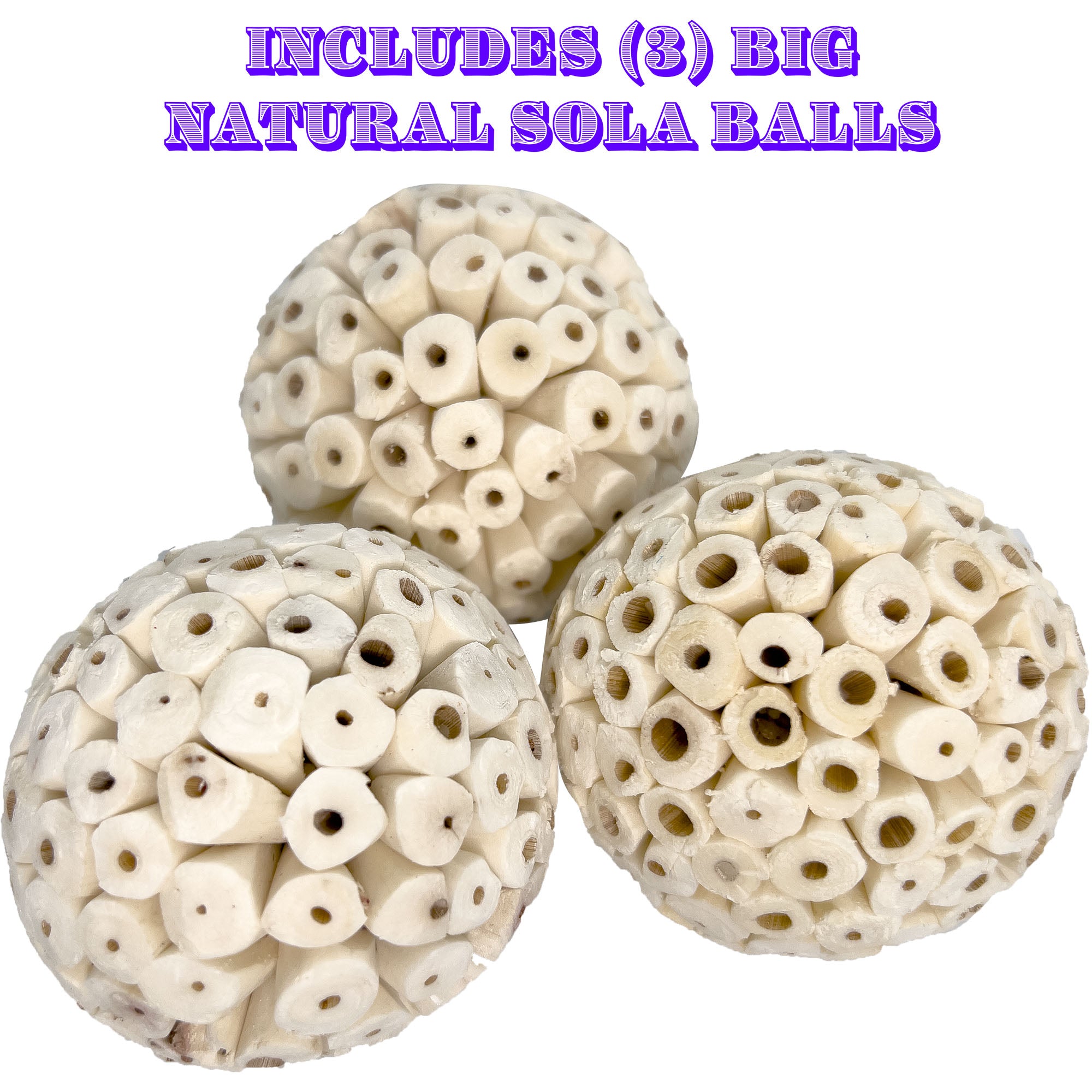 2145 Big Nobby N Sola Balls