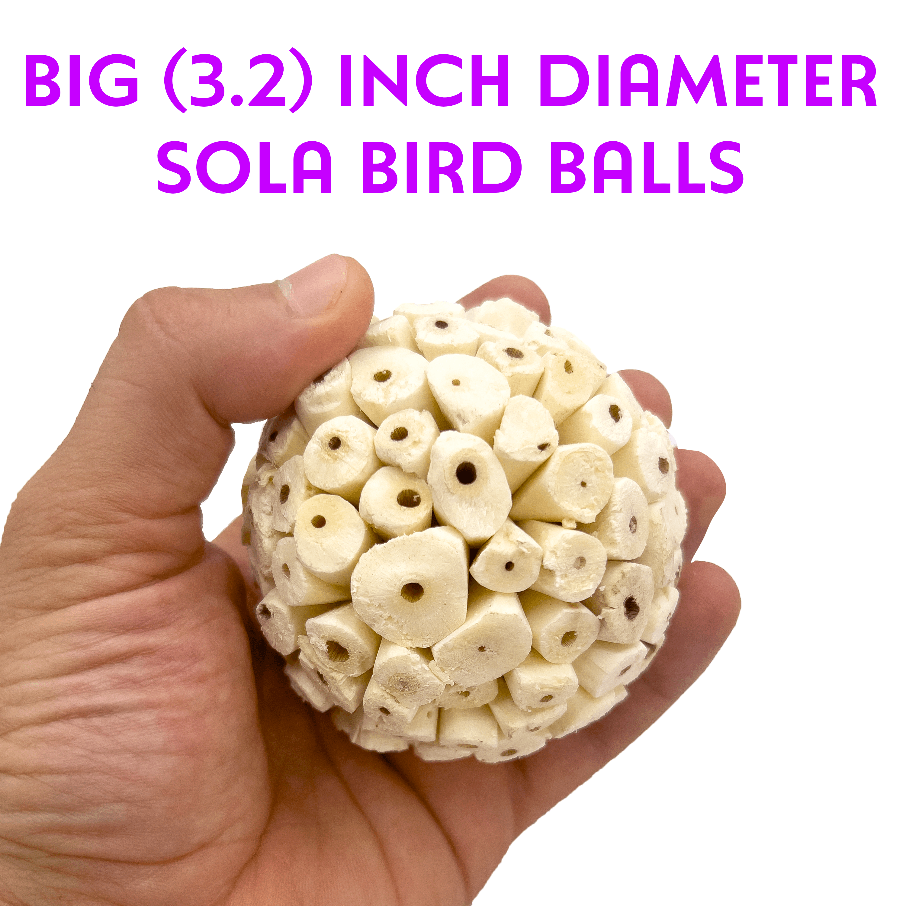 5101 Big Sola Bird Balls