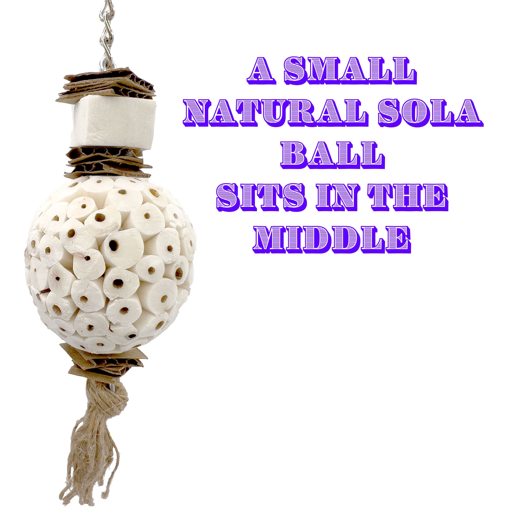 5114 Small Mandarin Sola Muncher