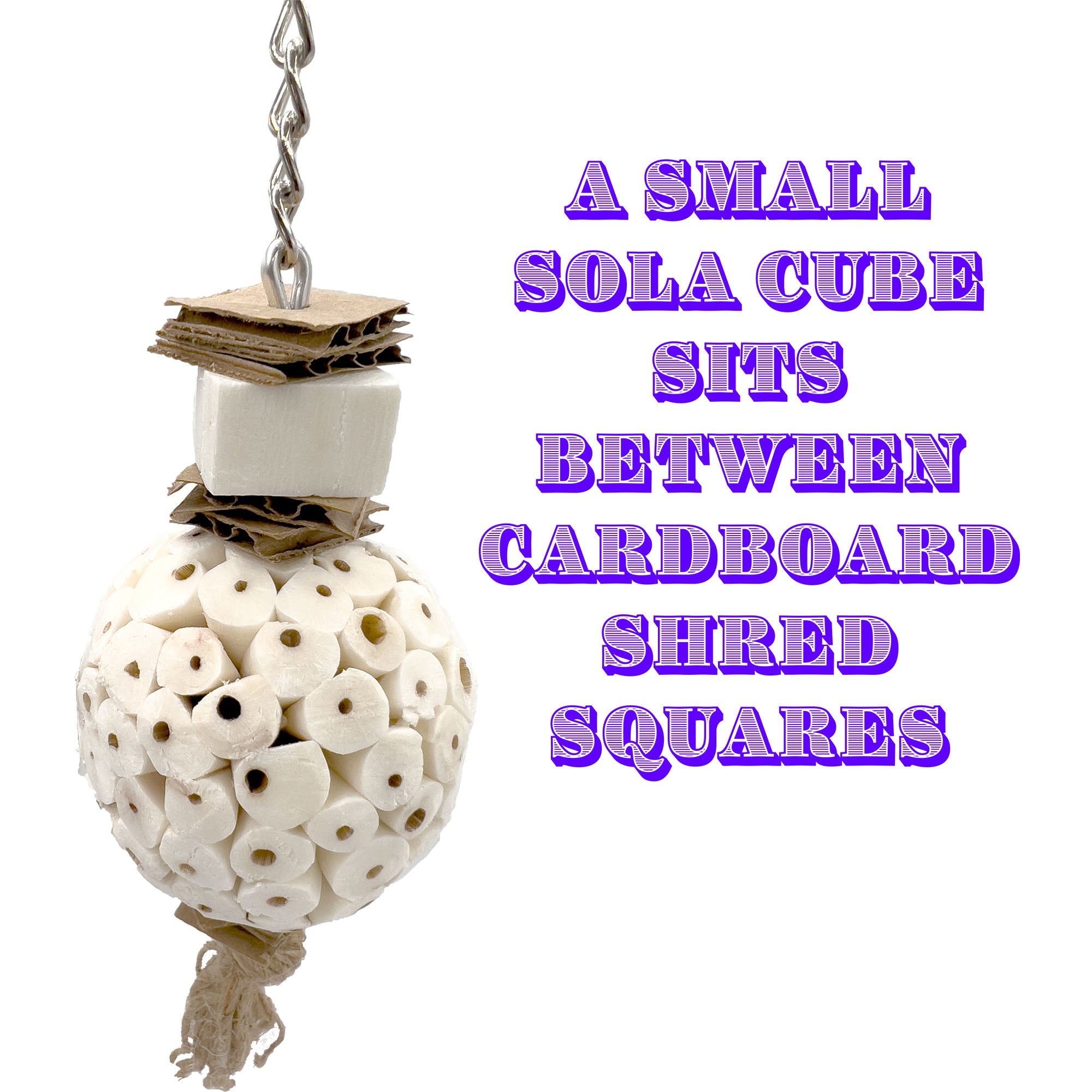 5114 Small Mandarin Sola Muncher