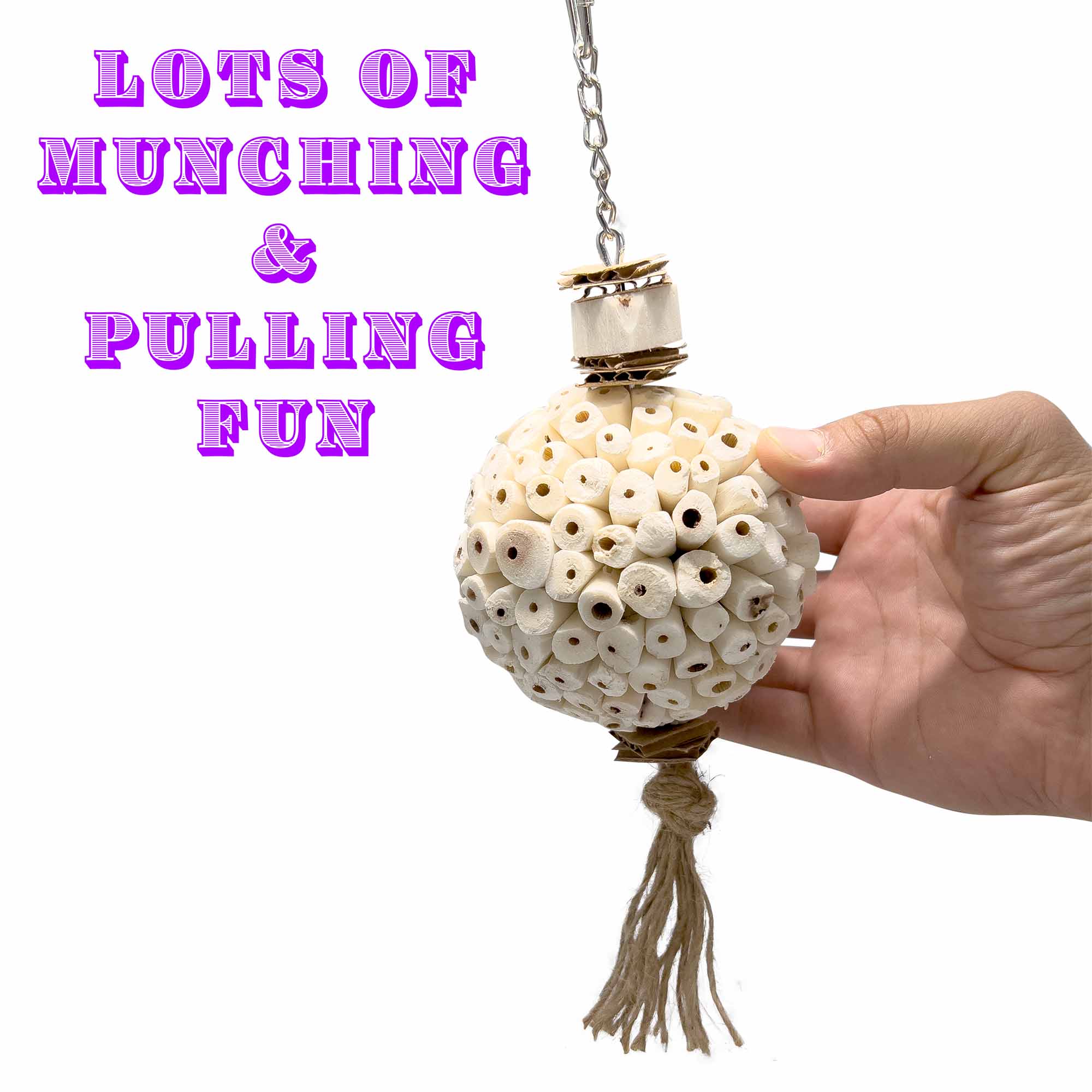 5116 Large Mandarin Sola Muncher