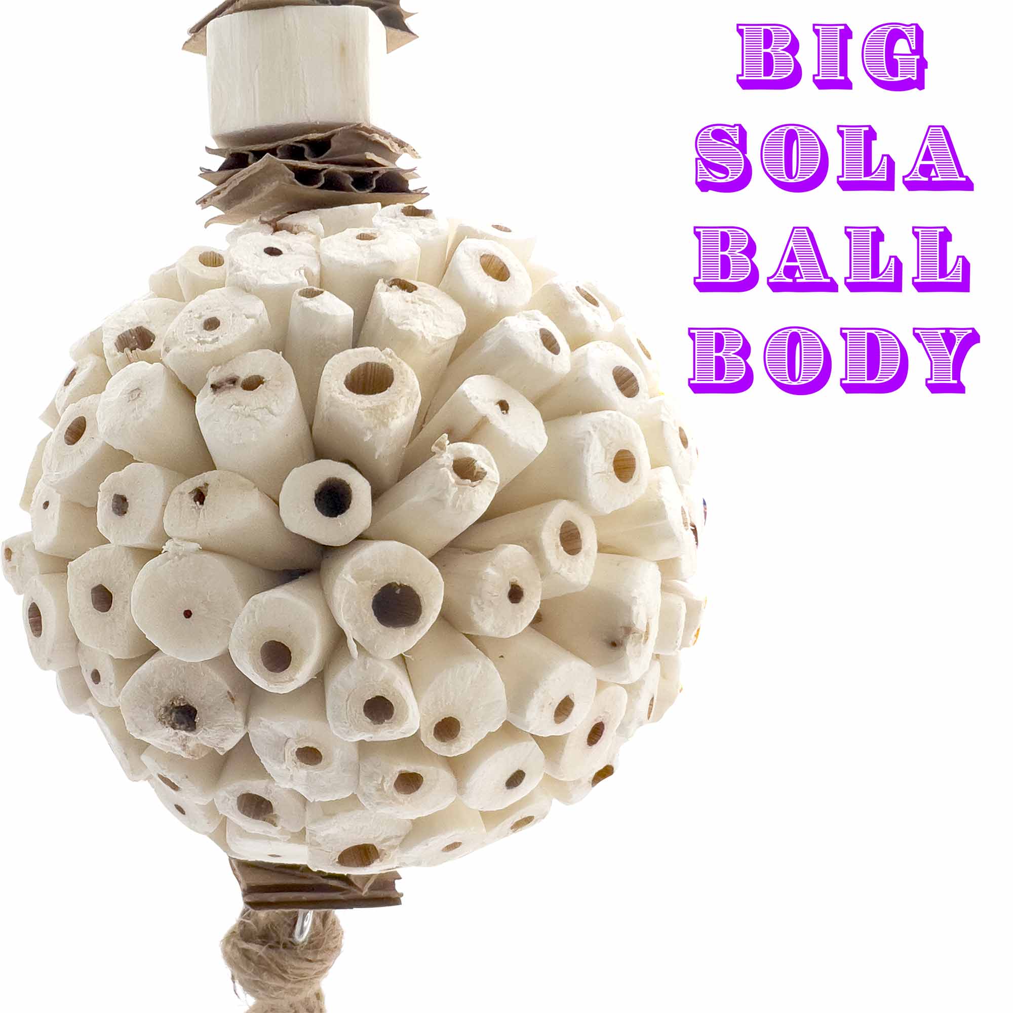 5116 Large Mandarin Sola Muncher