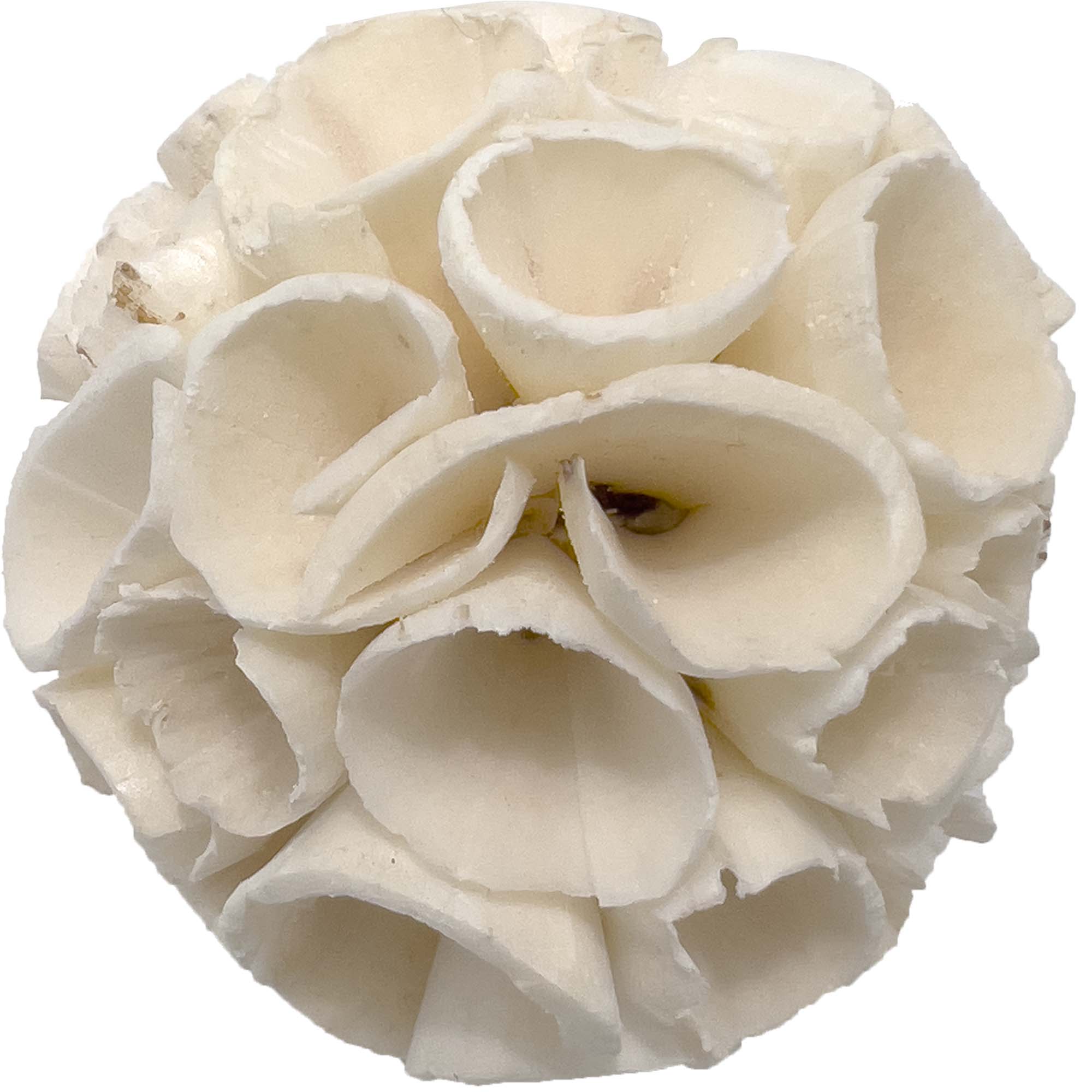 5128 Small Sola Crepe Chewers