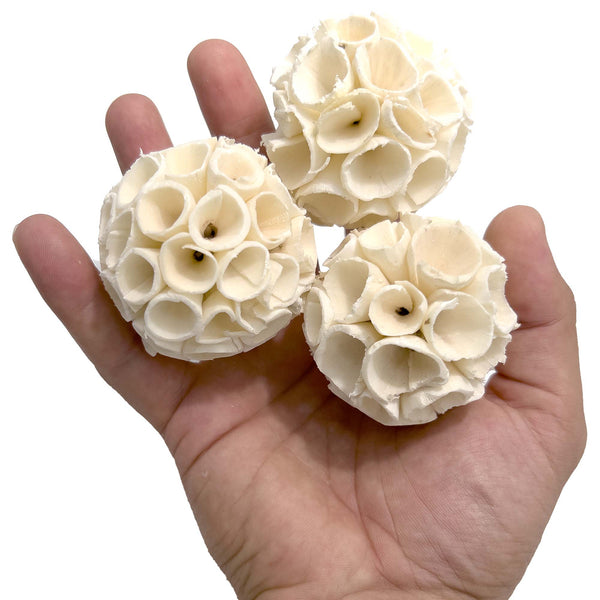 Small Sola Crepe Chewers #5128