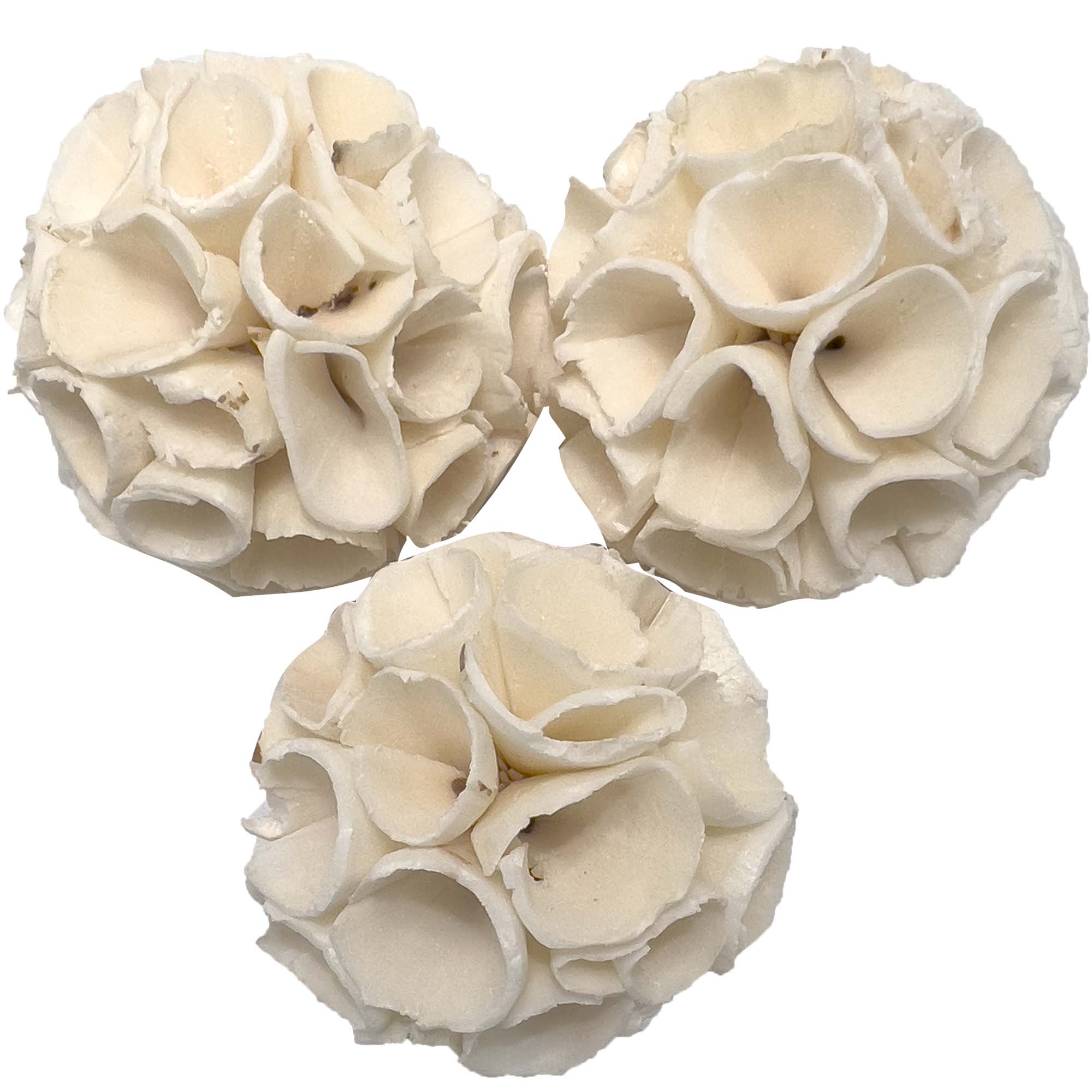 5128 Small Sola Crepe Chewers