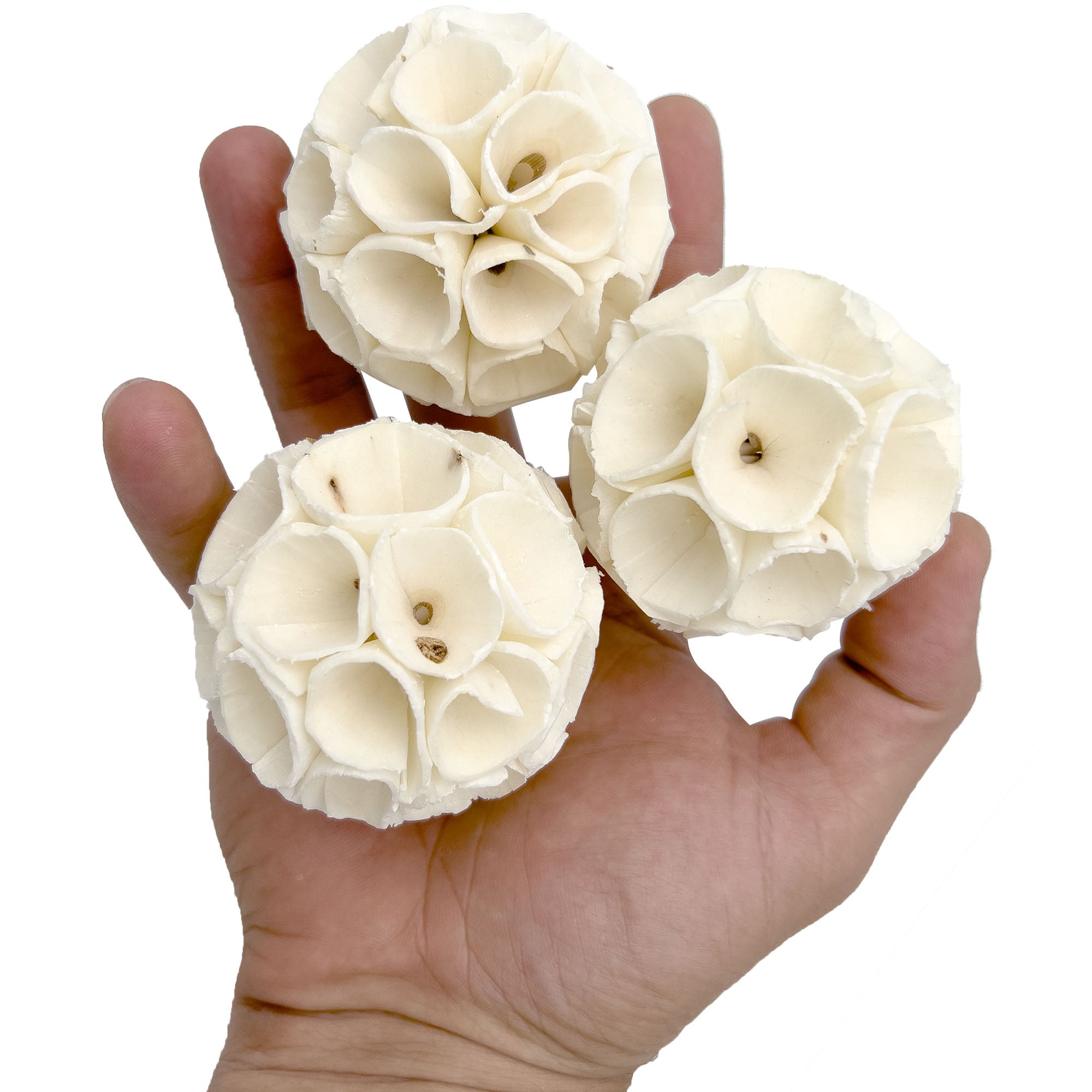 5130 Medium Sola Wood Crepes