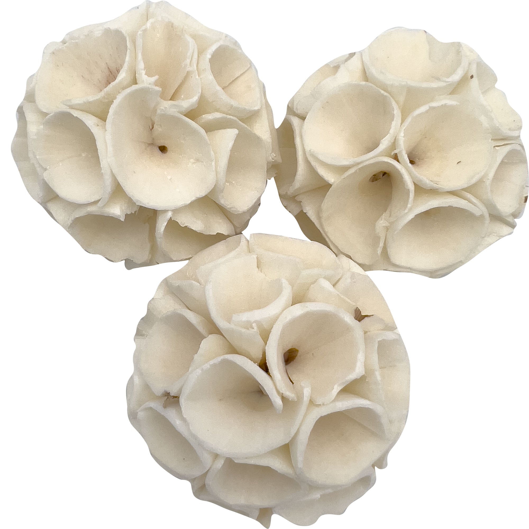 5130 Medium Sola Wood Crepes