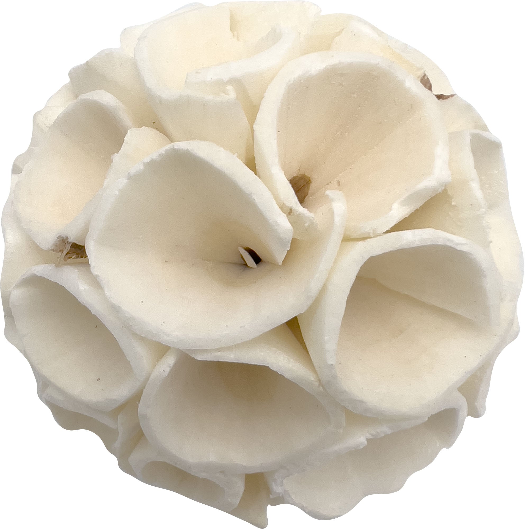 5130 Medium Sola Wood Crepes