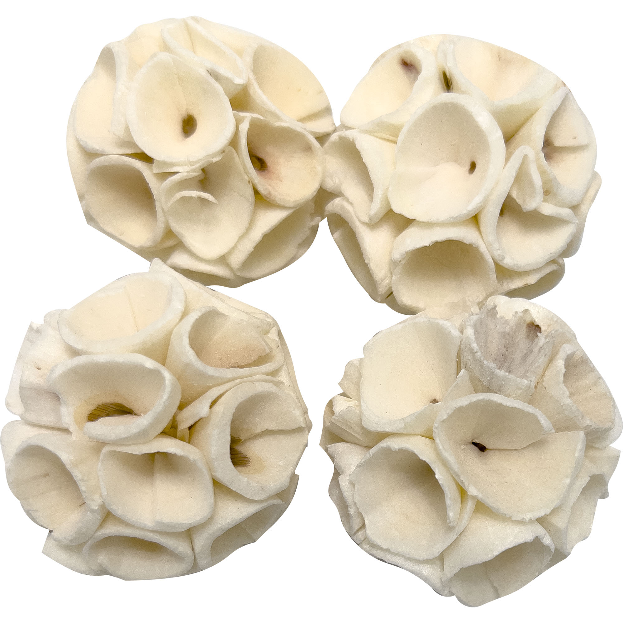 5133 Mini Sola Crepe Chewers