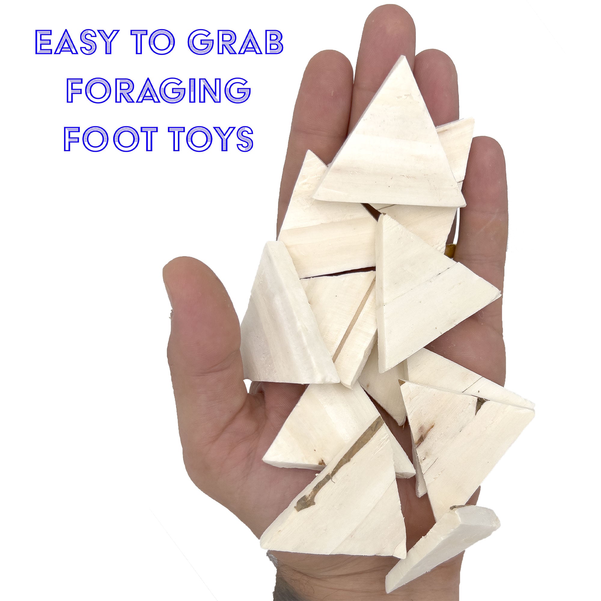 5137 Sola Salsa Chips