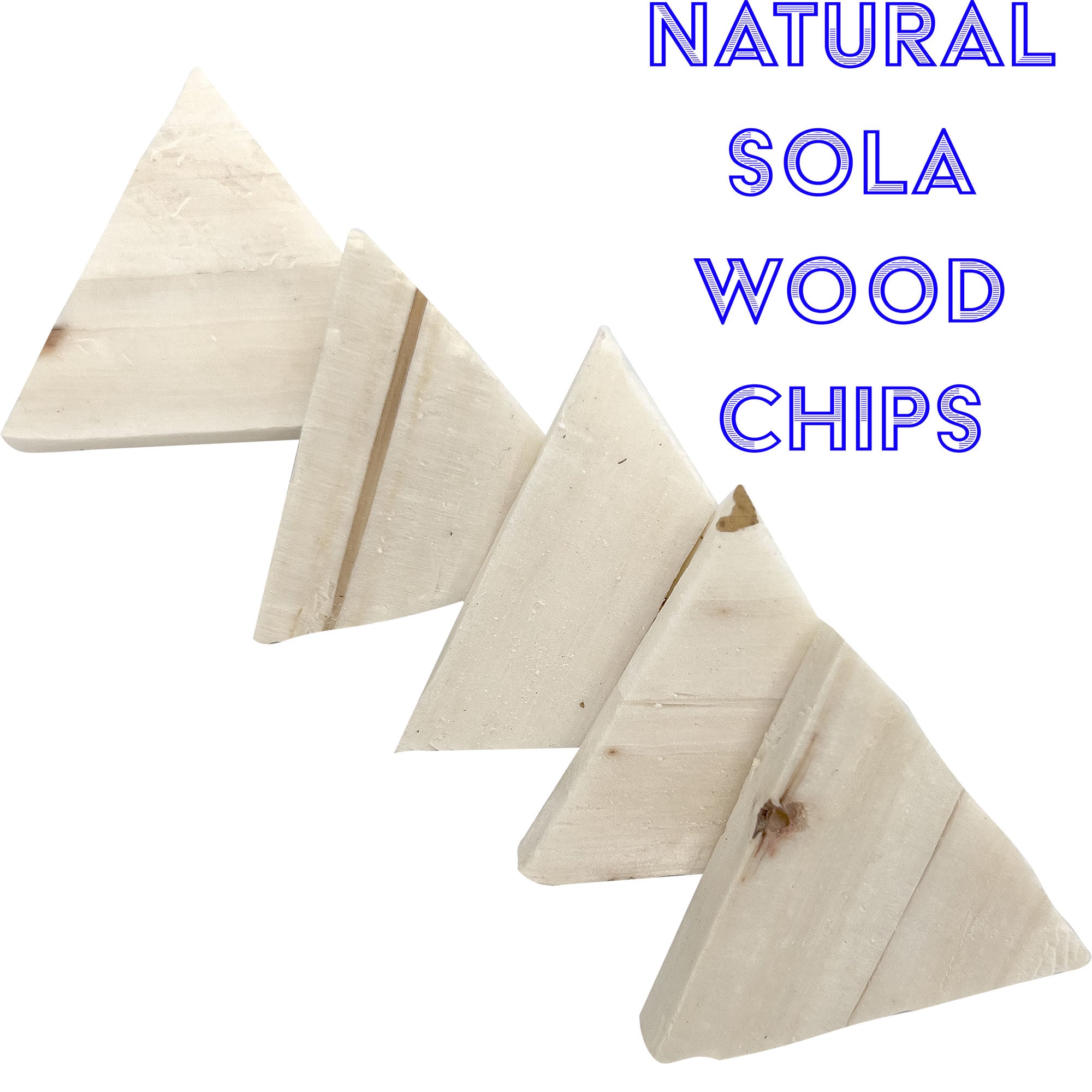 5137 Sola Salsa Chips