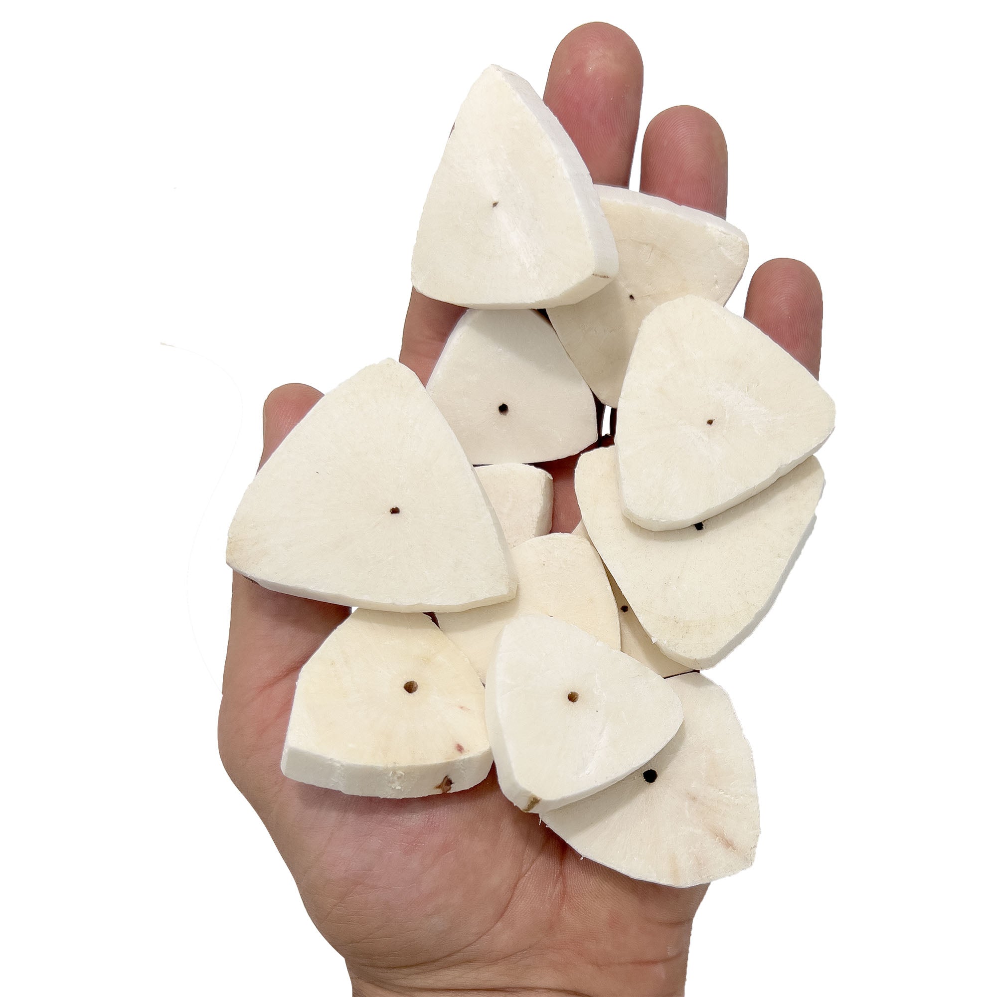 5143 Sola Oyster Slicers