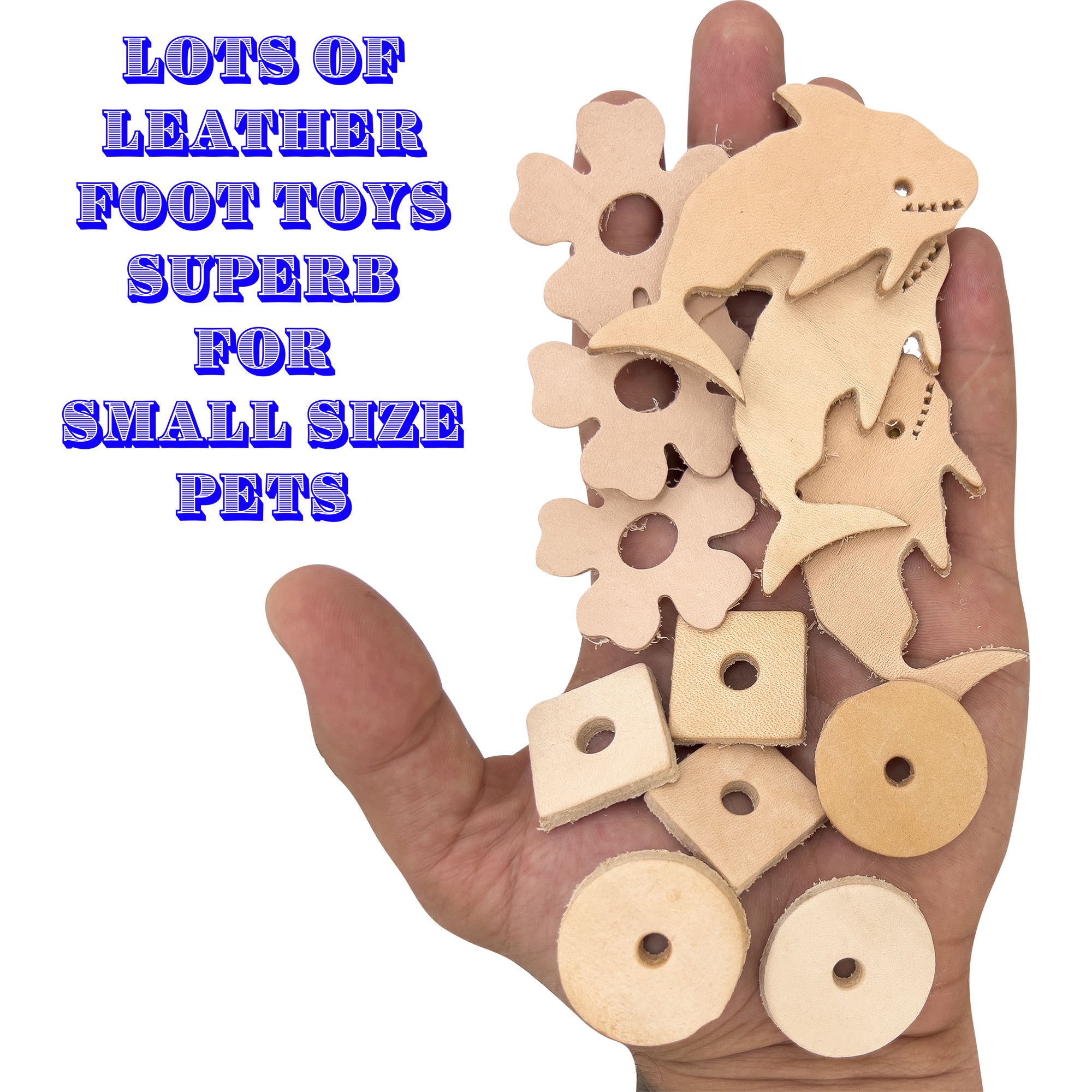 5157 Tropical Leather Little Beak