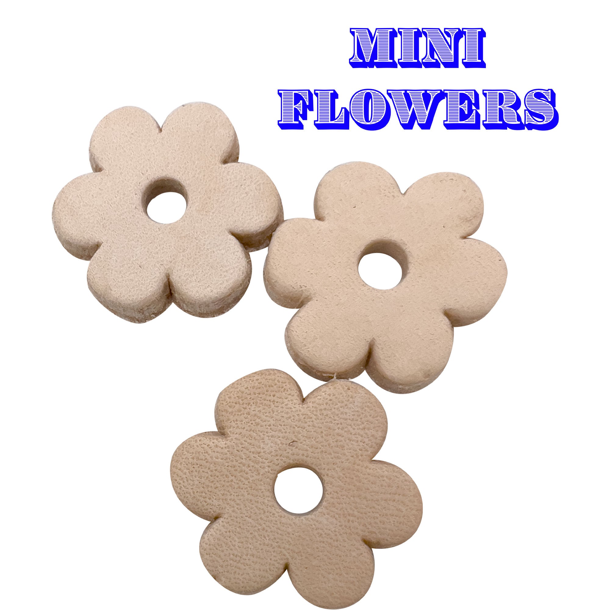 5158 Garden Knacks Leather Platter