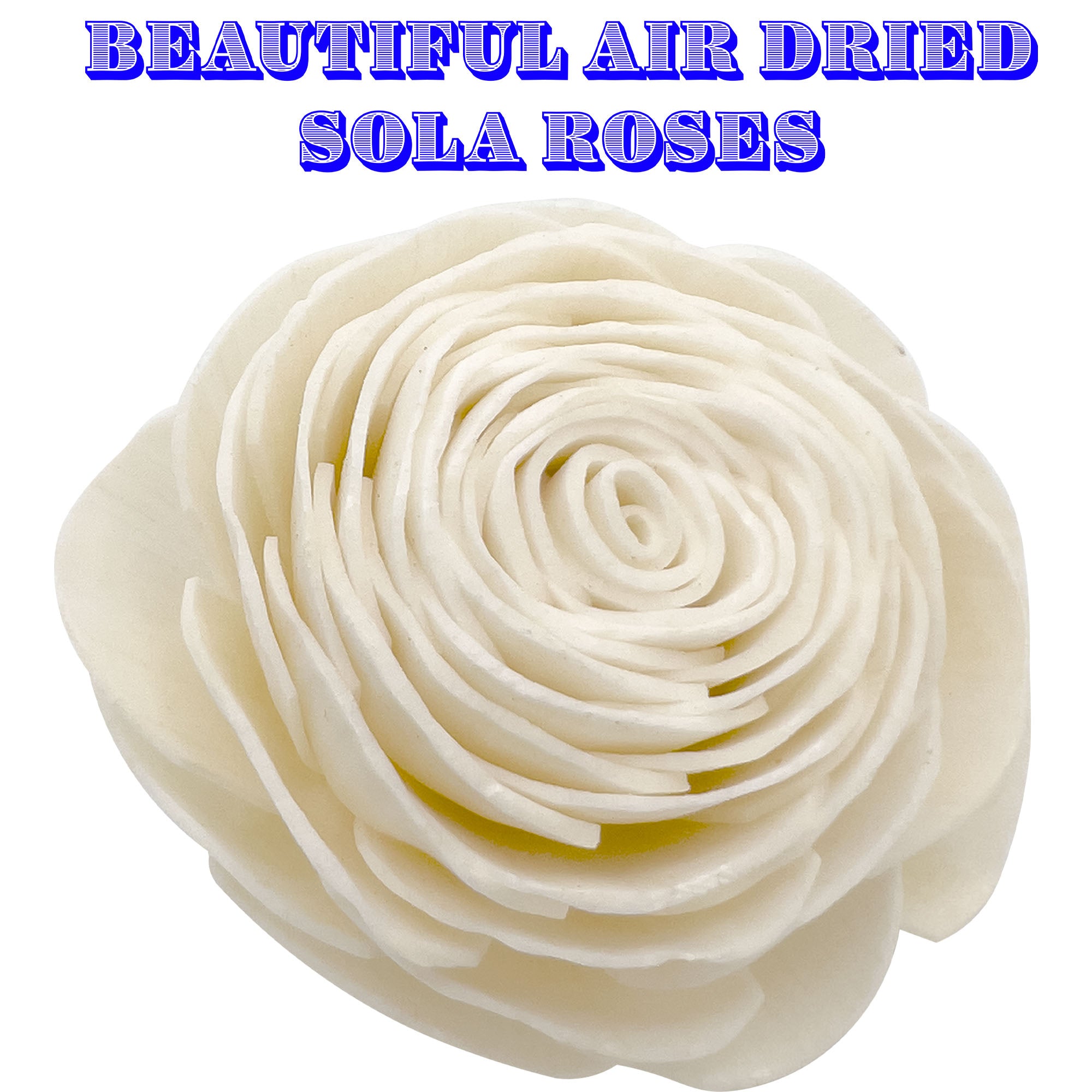 5175 Sola Shred Roses