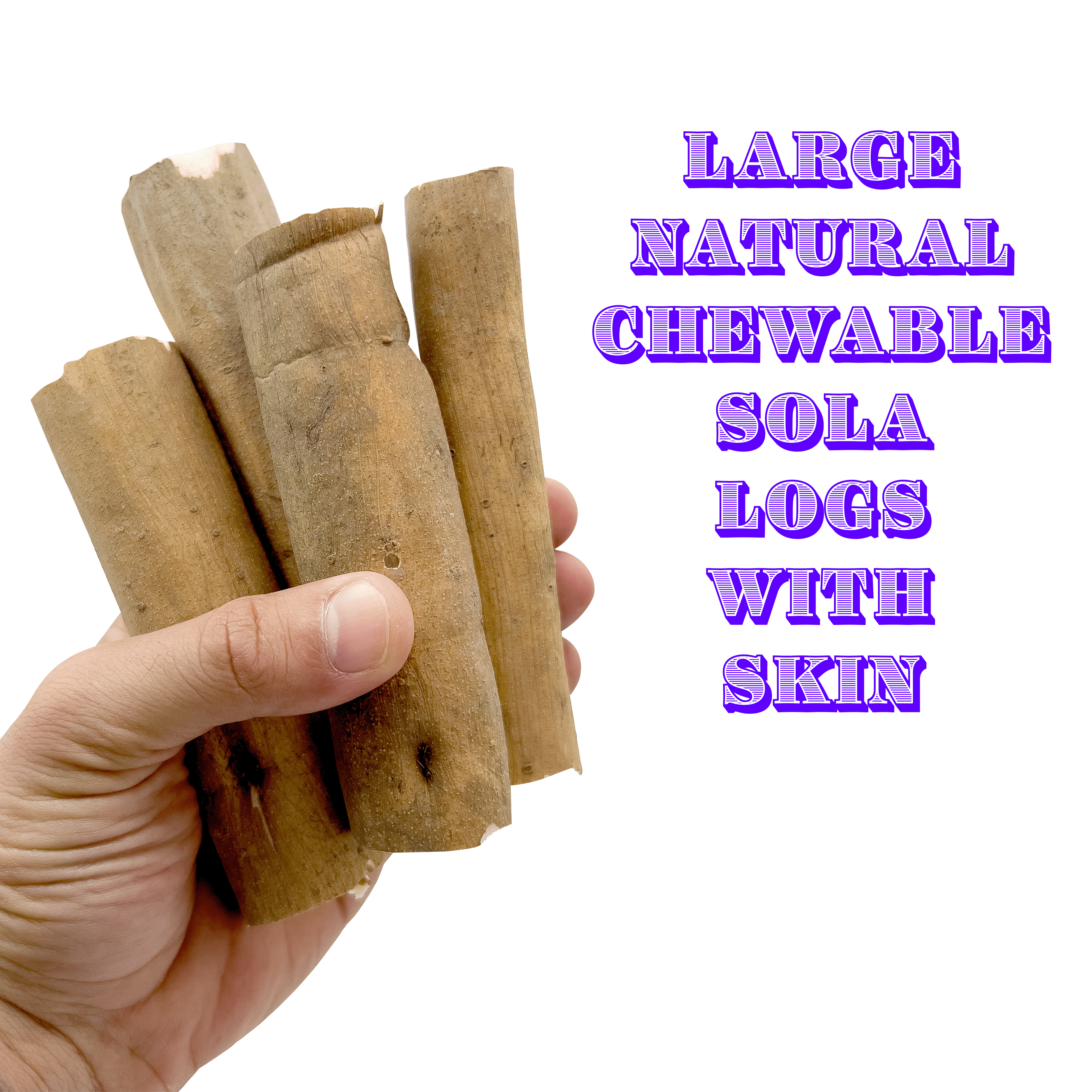 5504 Sola Skin Log