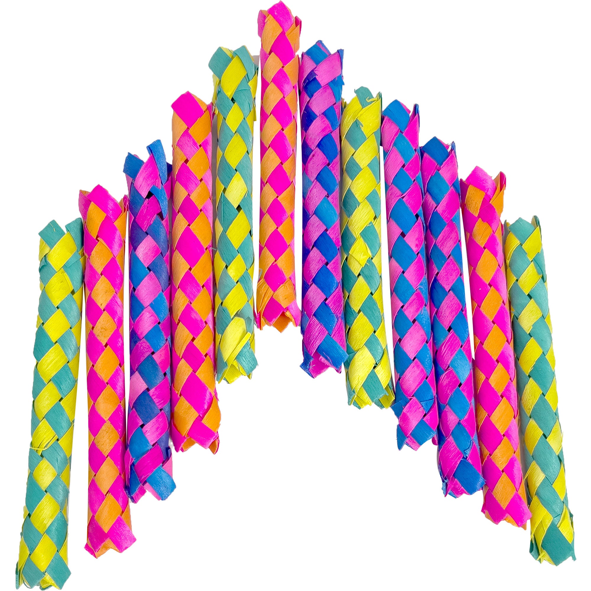 5520 Rainbow Bamboo Chewers