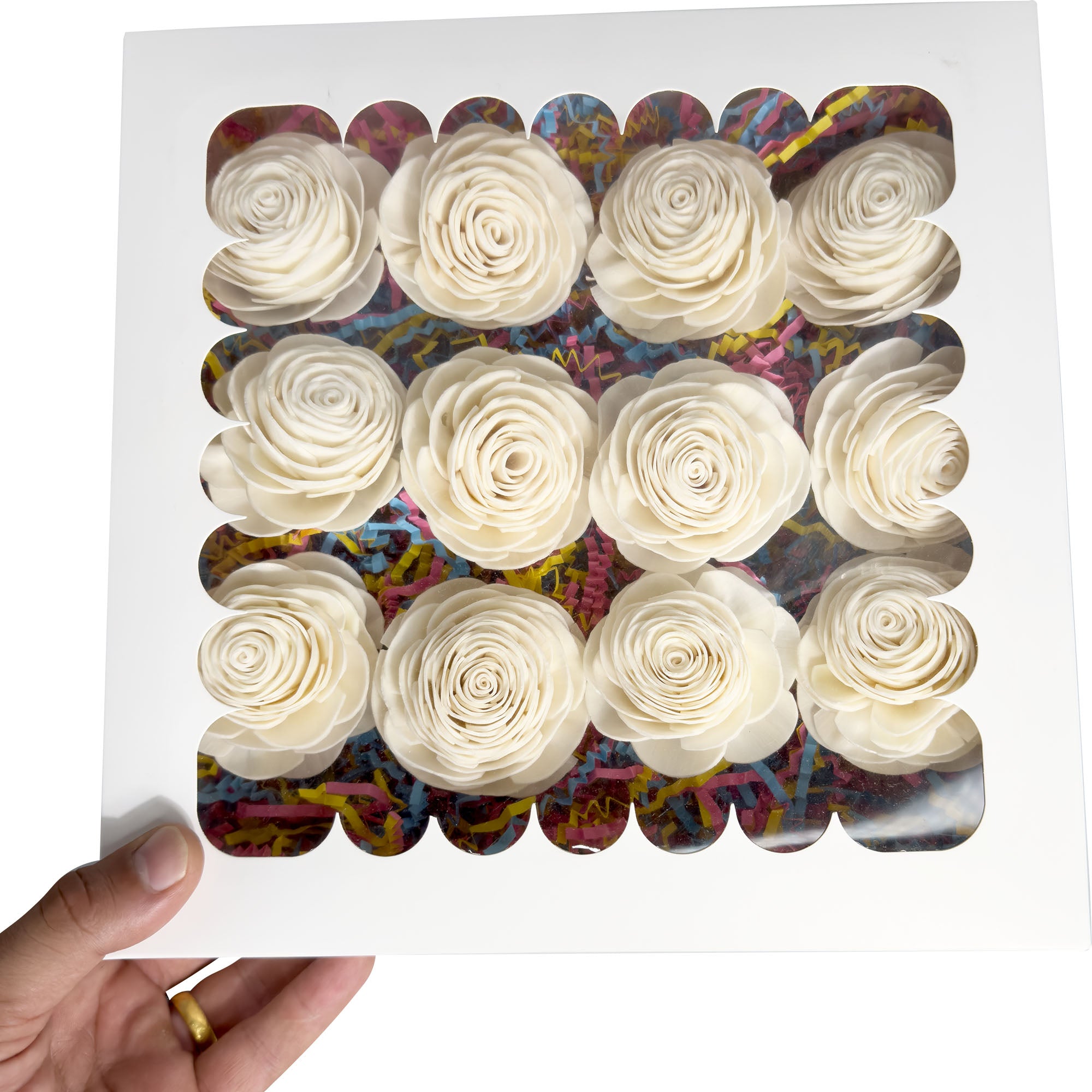 6000 Sola Rose Beak Box