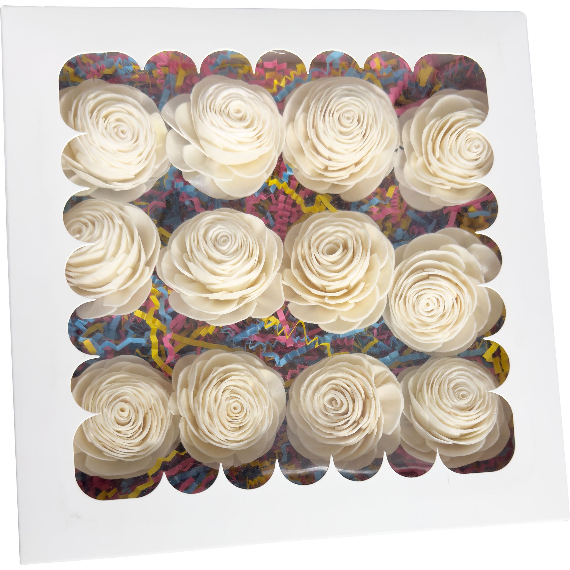 6000 Sola Rose Beak Box