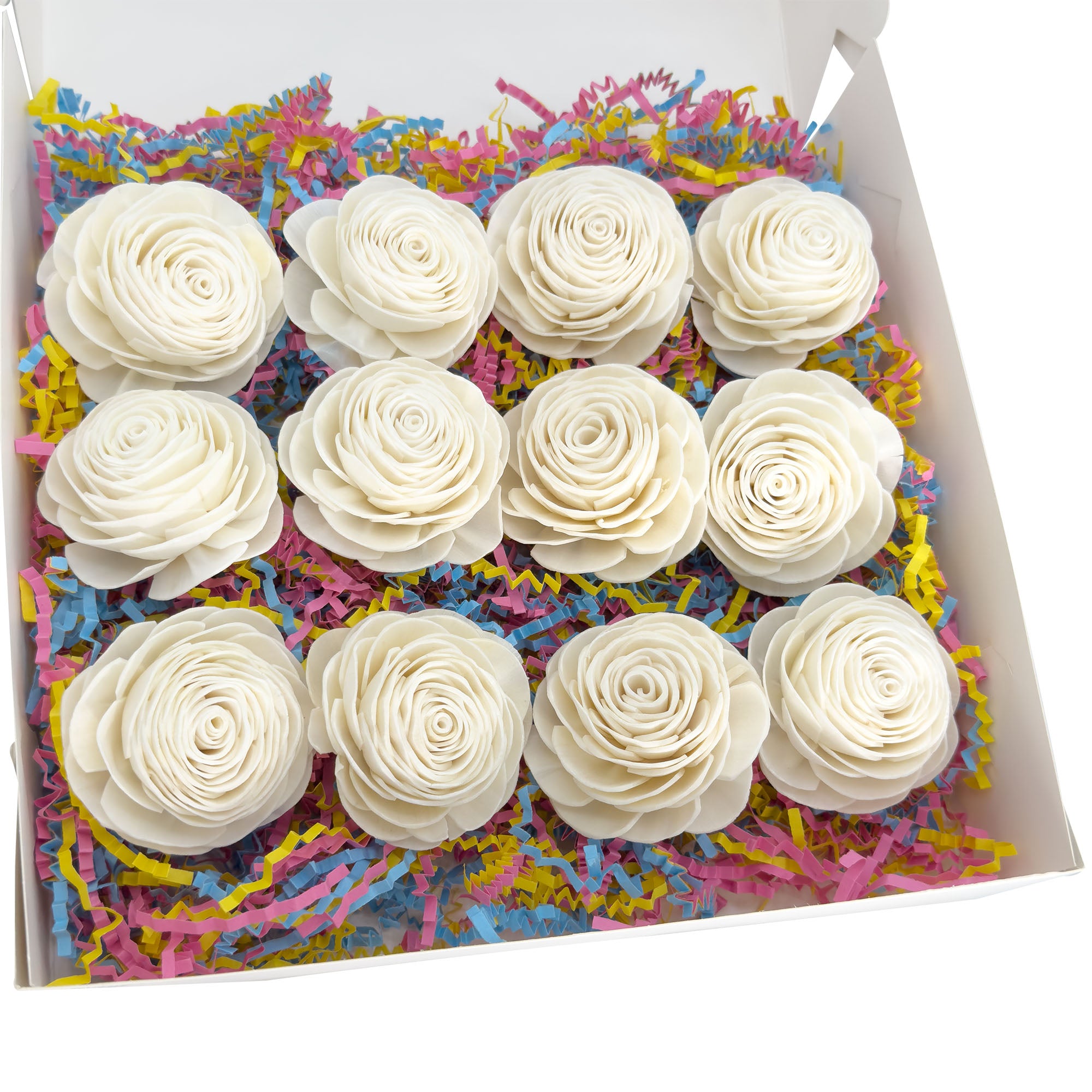 6000 Sola Rose Beak Box