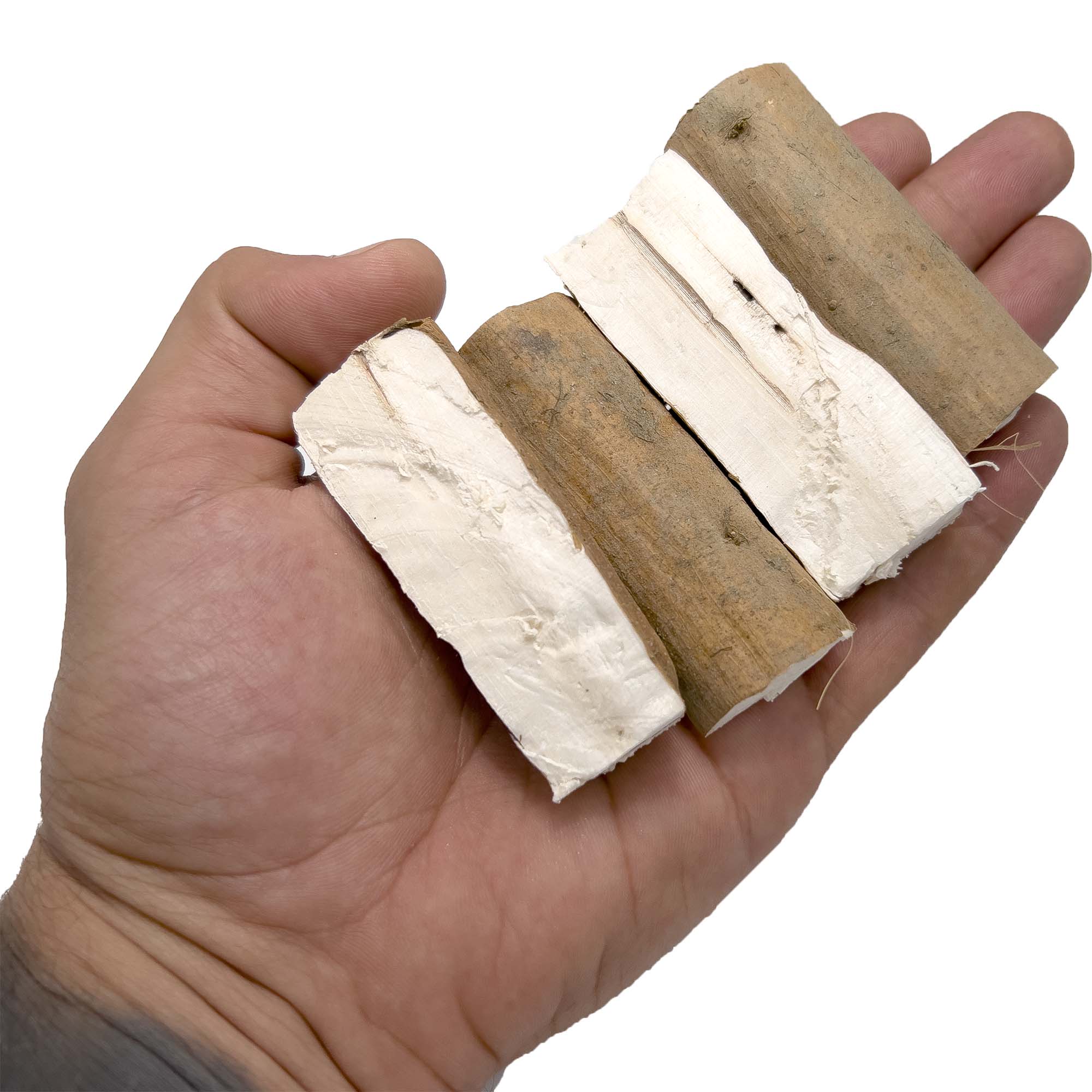 5034 Big Sola Beak Slabs