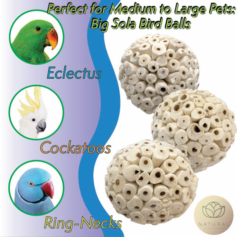 5101 Big Sola Bird Balls