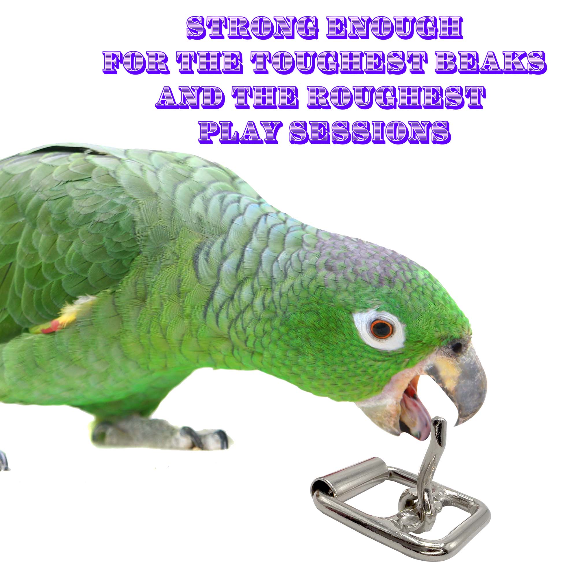 3503 Pk2 Double Beak Buckle 1.75 Inch