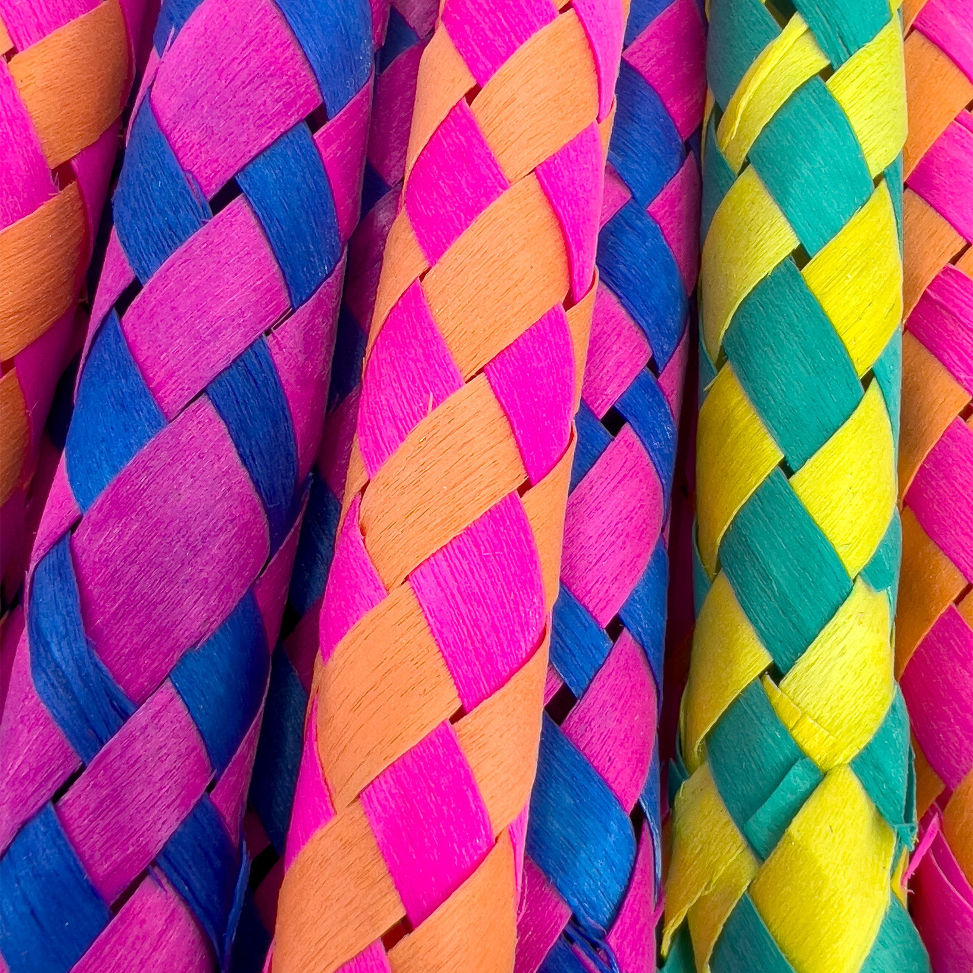 5520 Rainbow Bamboo Chewers