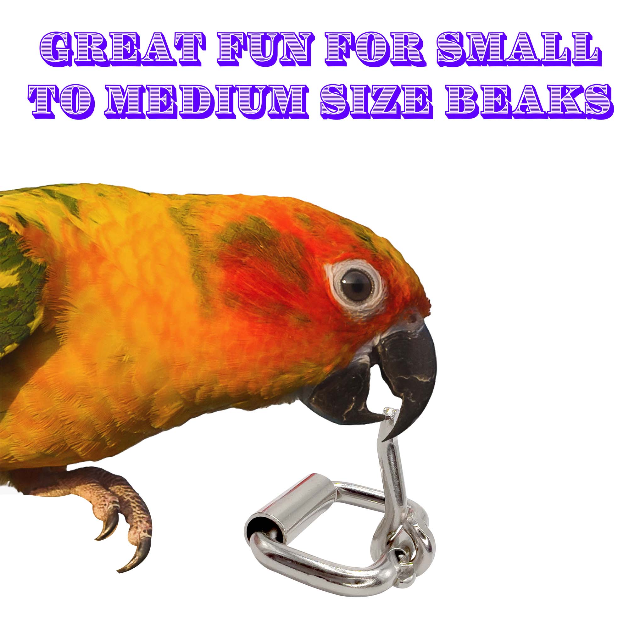 3500 Small Beak Buckle 1.25 Inch