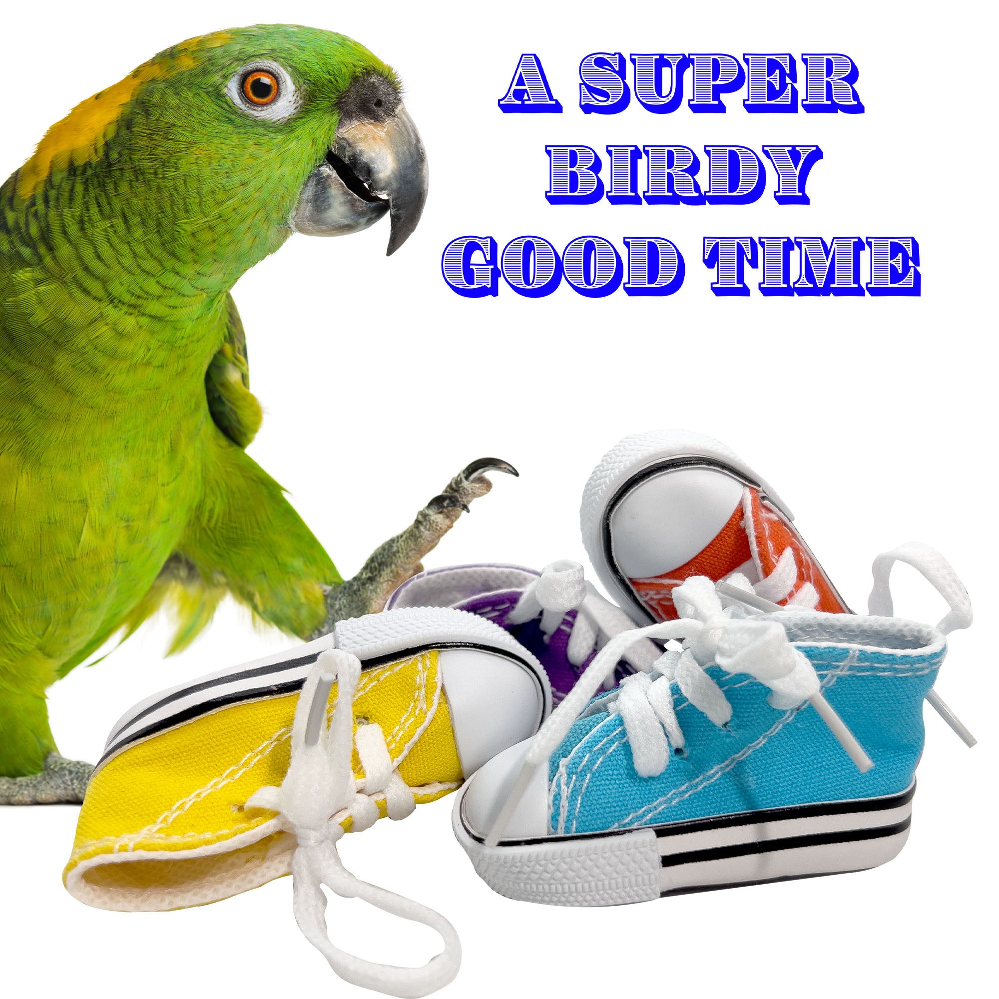 5000 Sneaker Shredders