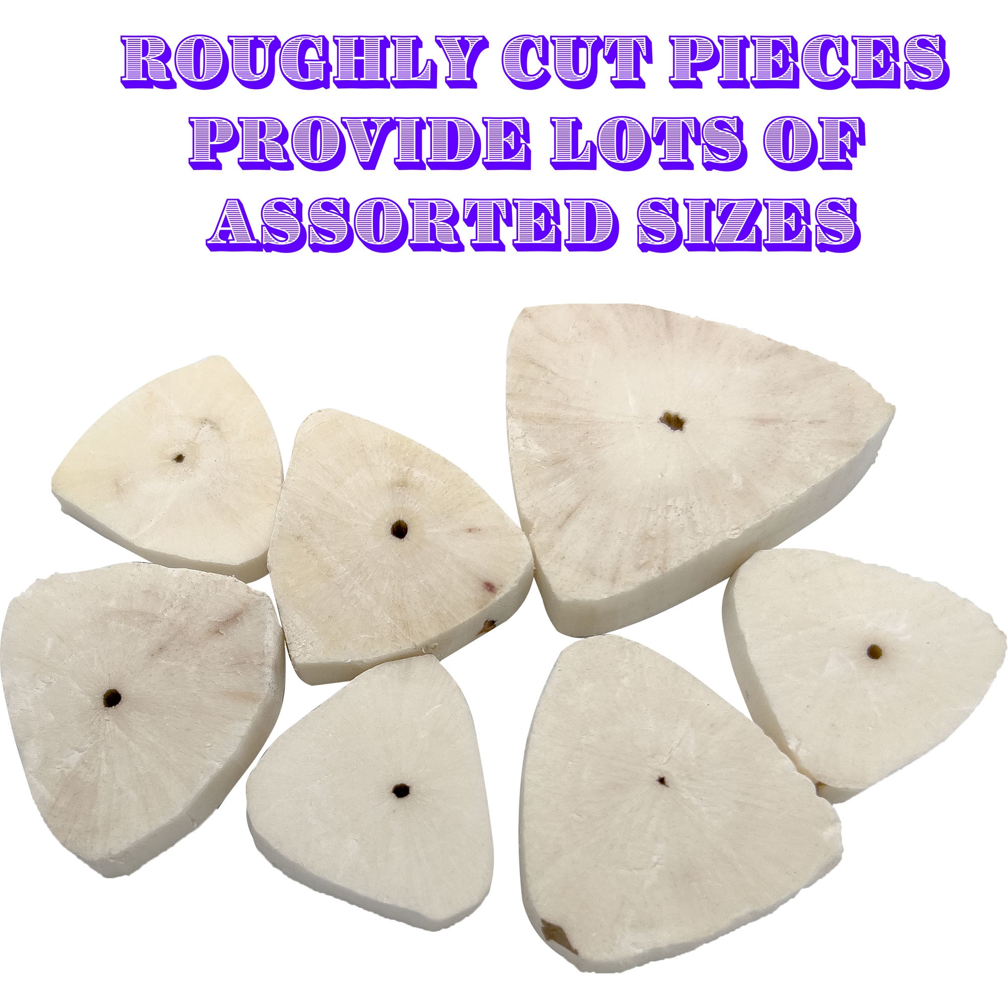 5143 Sola Oyster Slicers