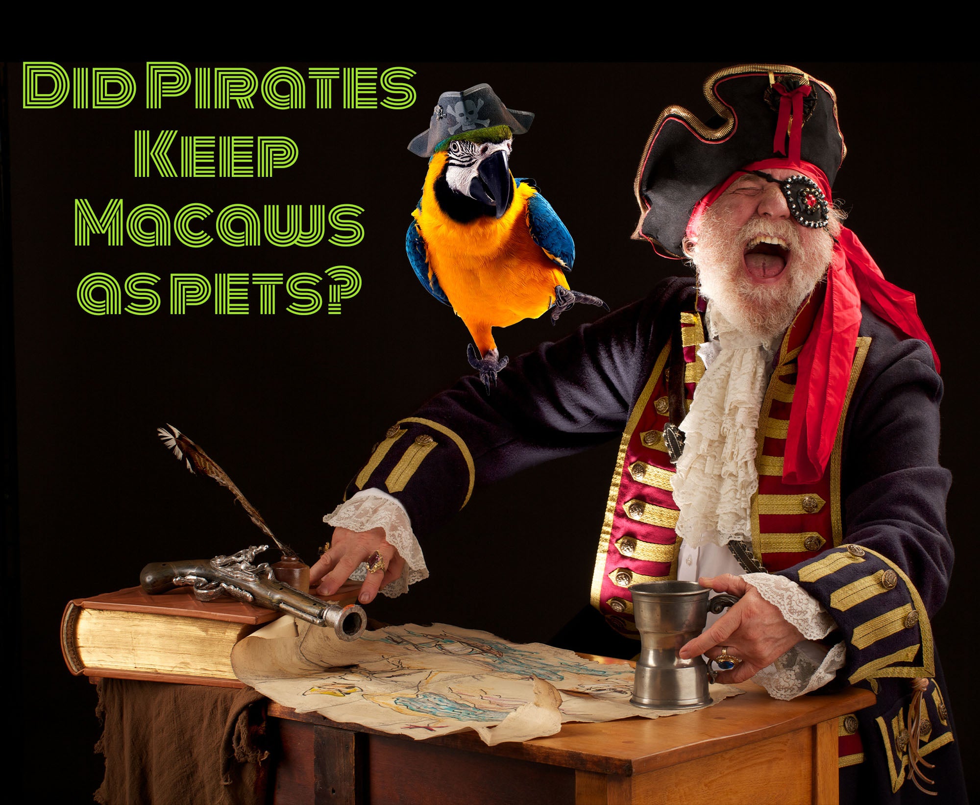 Did pirates in the past keep macaws as pets?